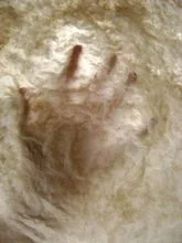 July Guild Meeting - Local Field Trip!