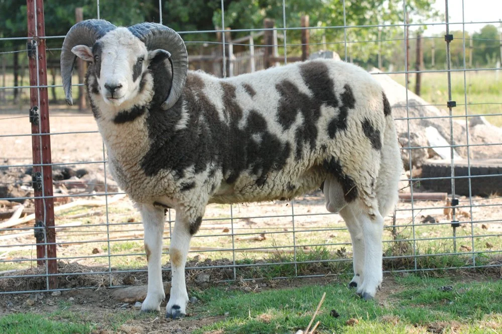 November Guild Meeting - November 3rd