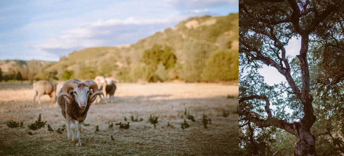 January Guild Meeting - January 4th, 2020