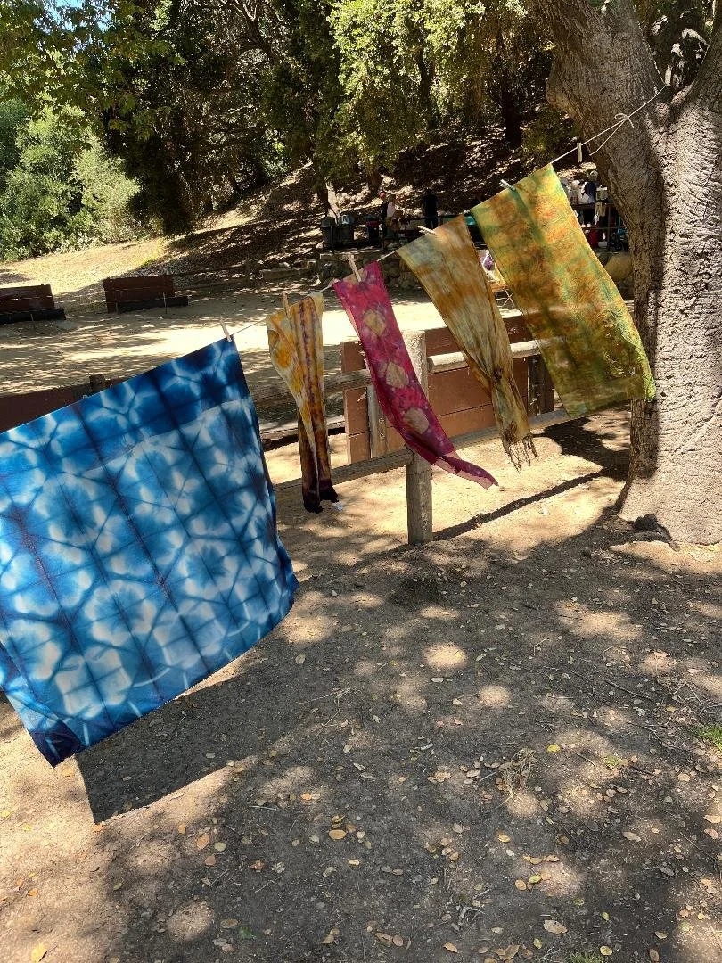 September Guild Meeting - Dye Day share!