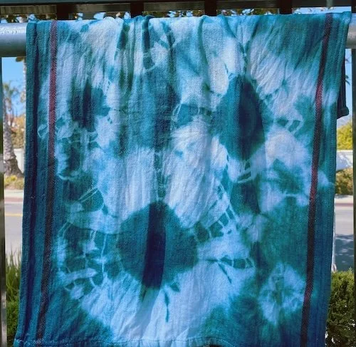 Explore Ecology Community Dye Bath