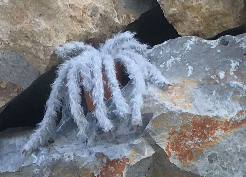 Exhibit 2020 – Solutions in a Time of Change