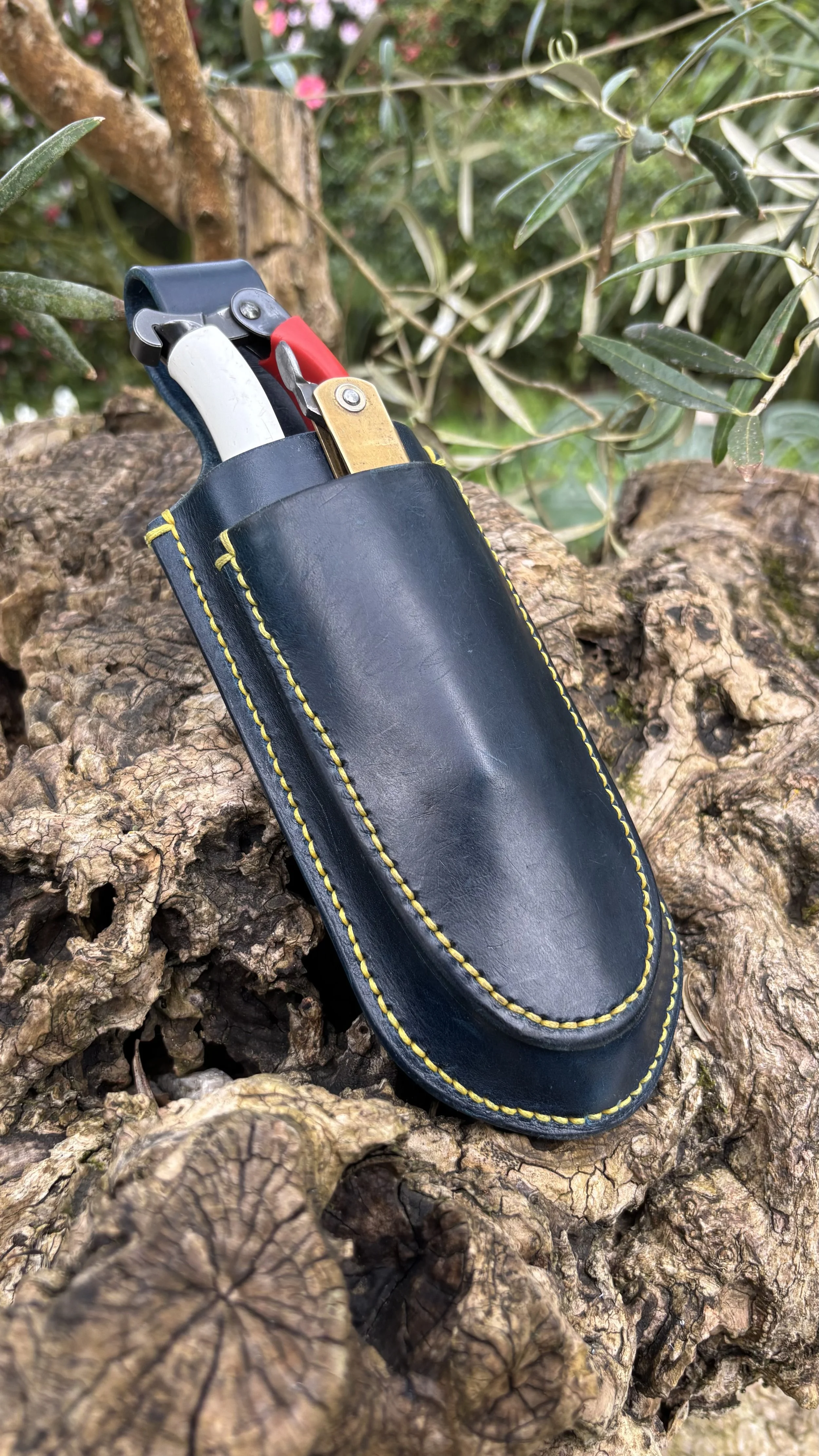Thornbury Double Holster