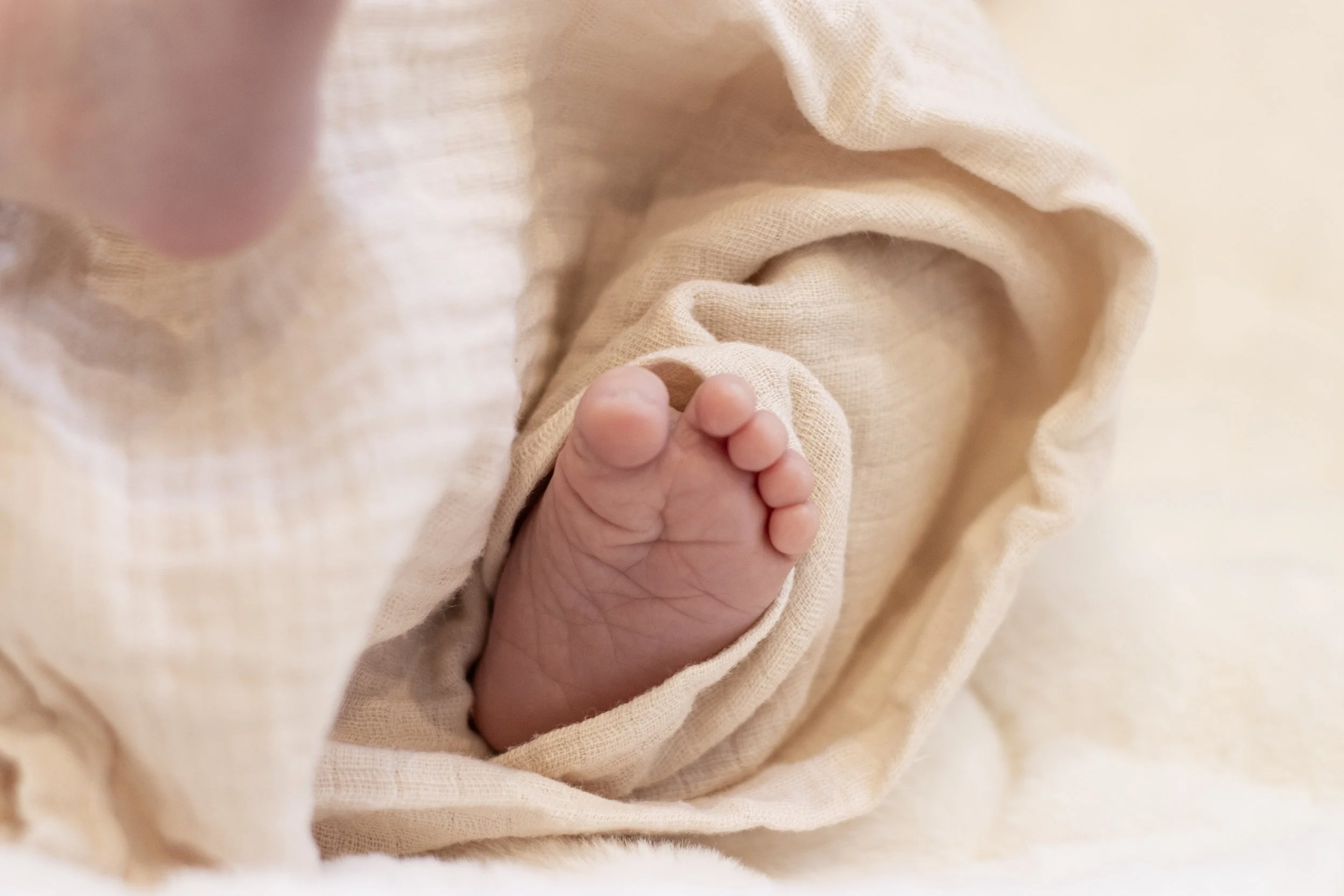 Newborn