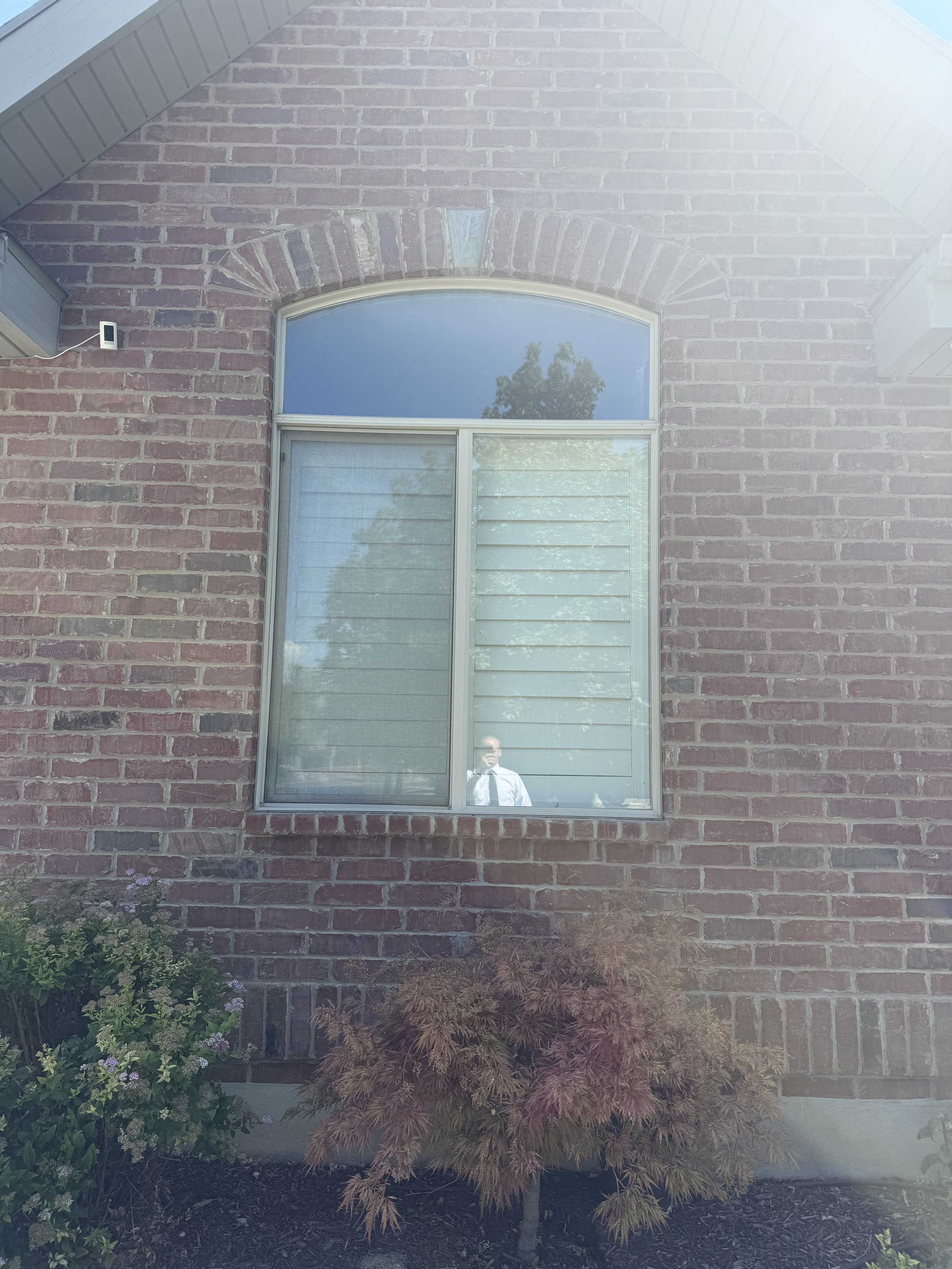 A brick house exterior with a large window reflecting a tree and the sky. Surrounding plants include a small tree with reddish leaves in front of the window and bushes on either side.