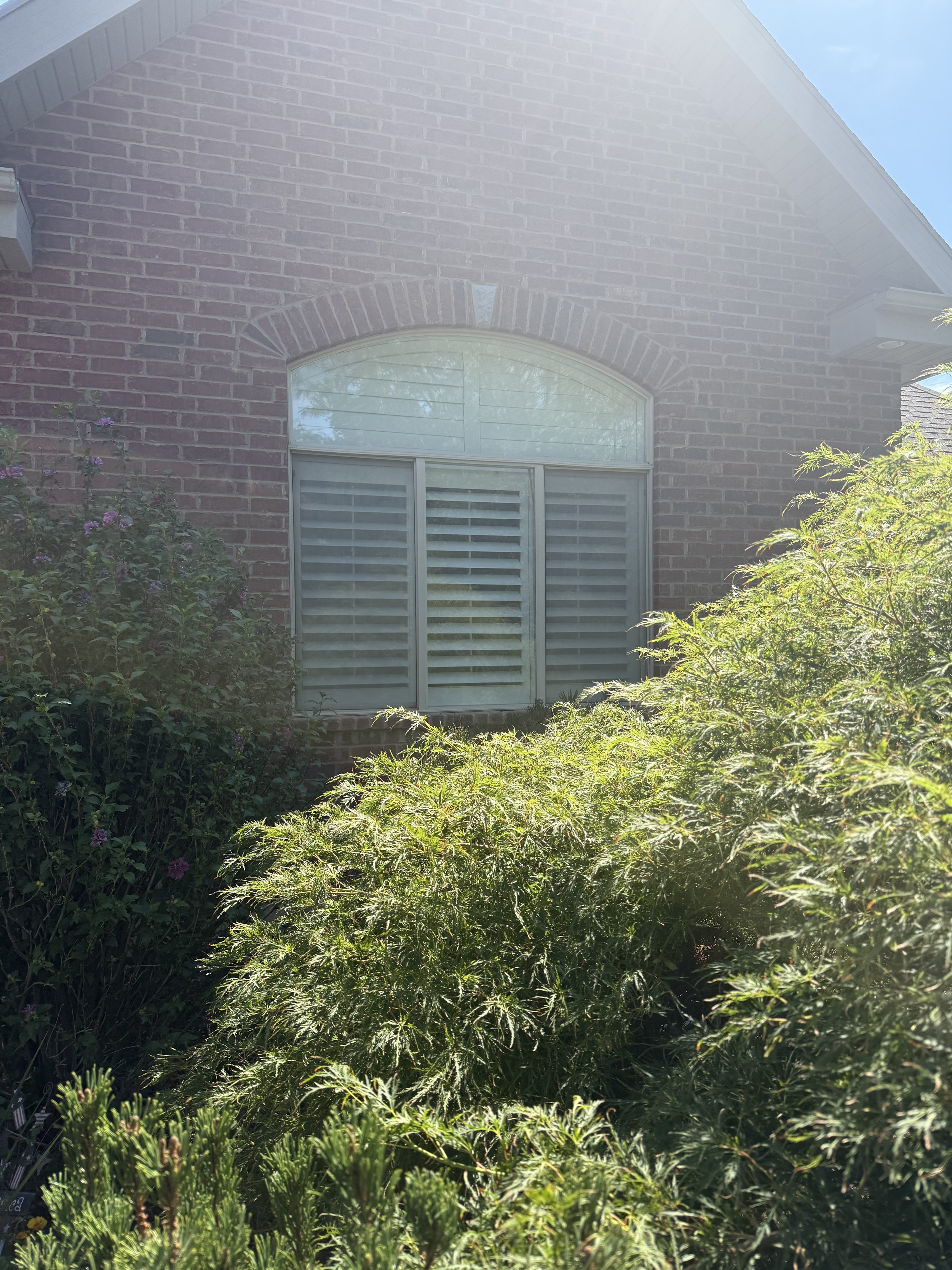 A brick house with a large window covered with white shutters, surrounded by green bushes and plants, under a bright blue sky.