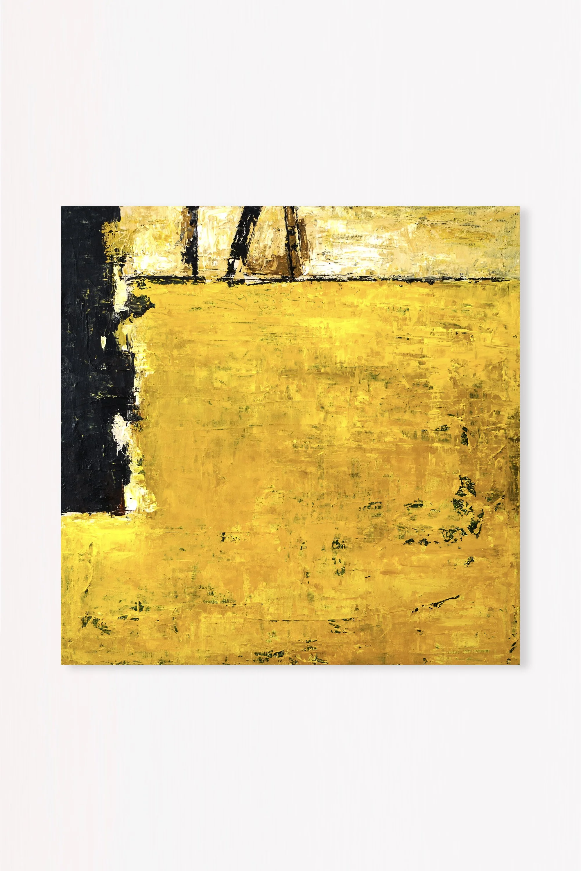 Field of yellow (Main Front).jpg
