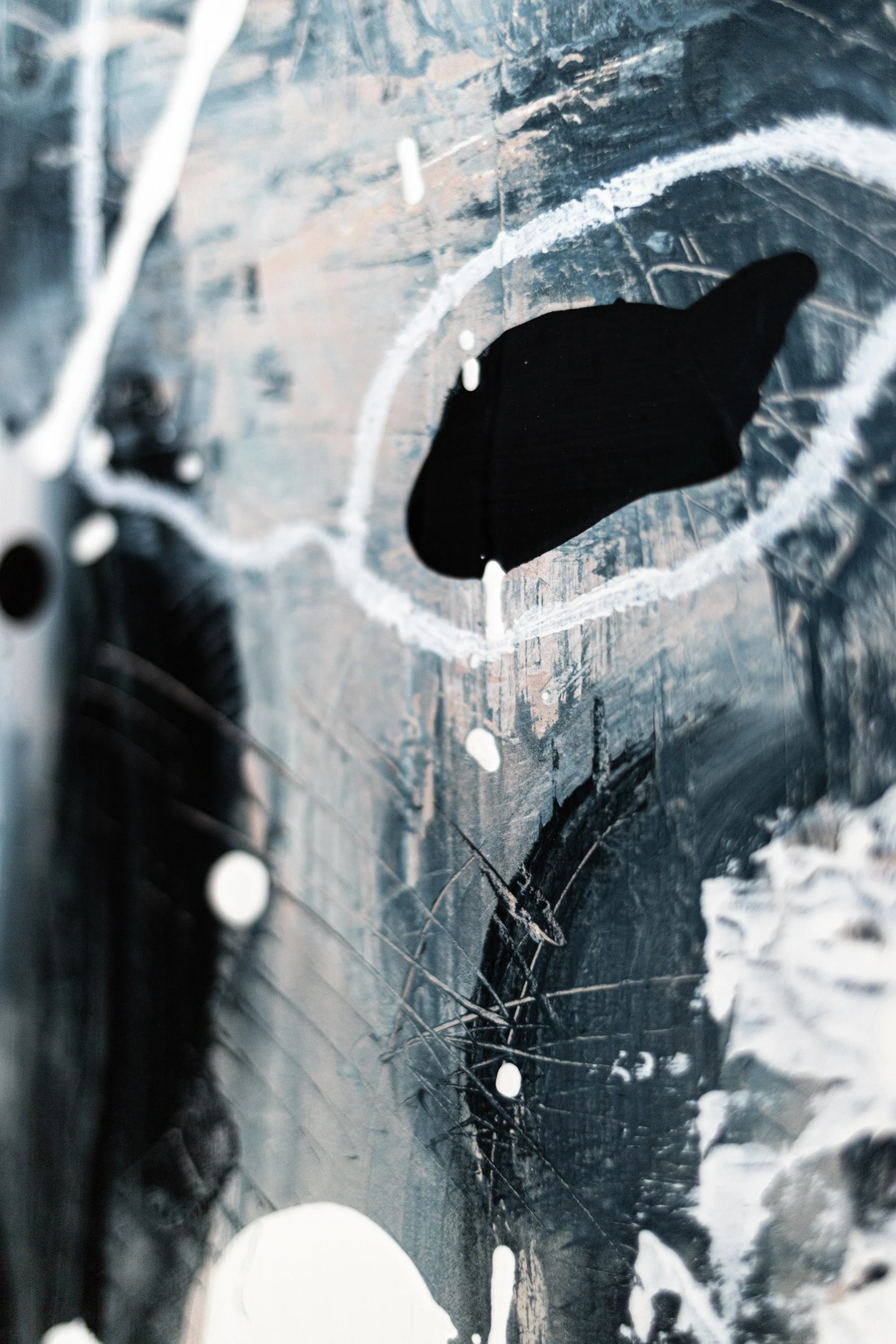 Web-Vagus_II_X8.jpg