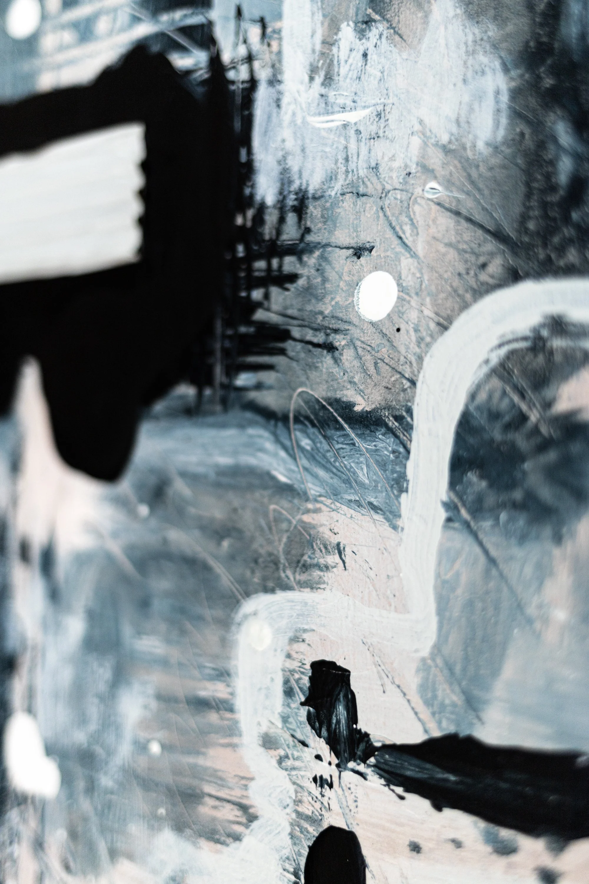 Web-Vagus_II_X10.jpg