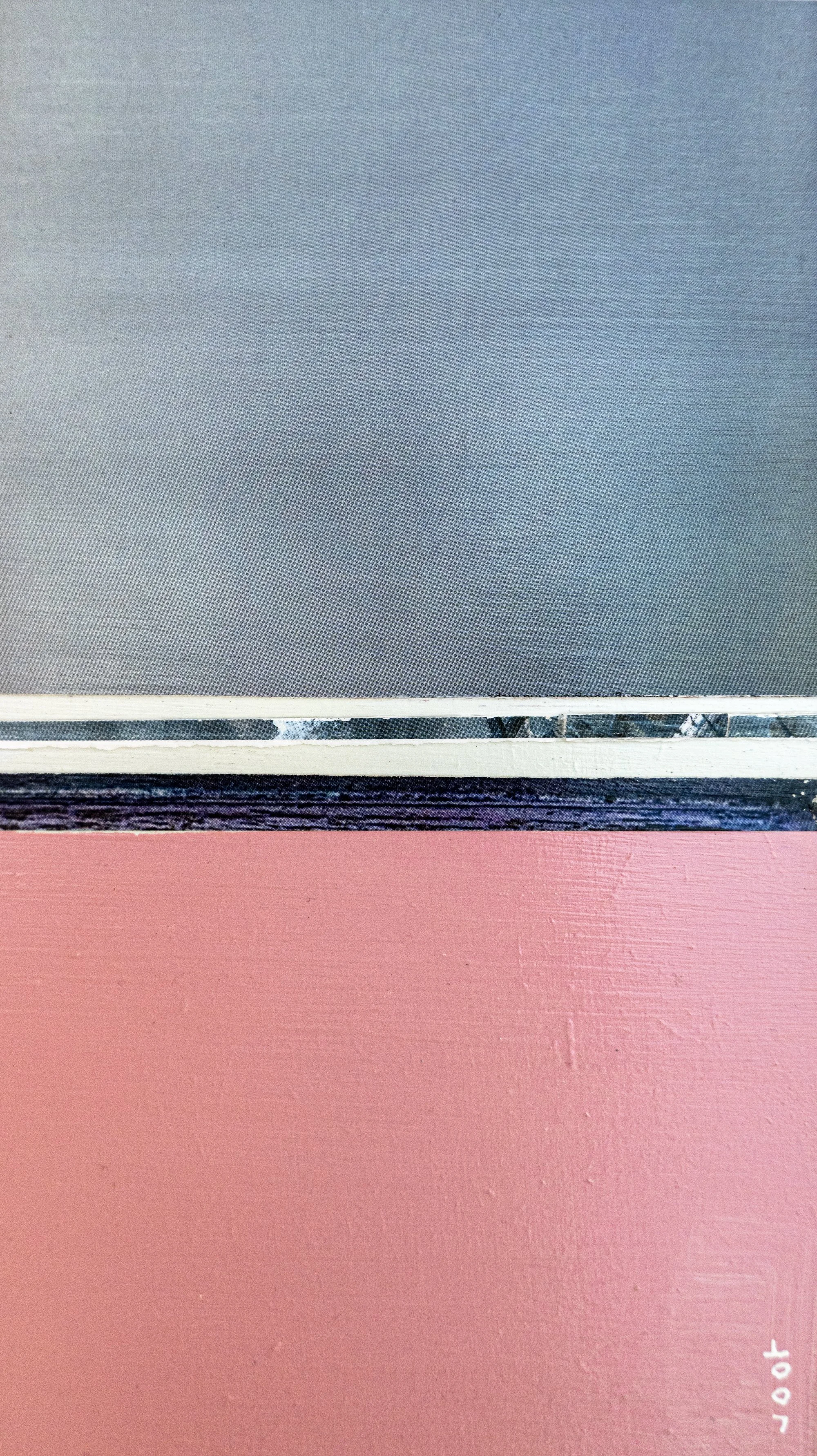 Pinkray (X3).jpg