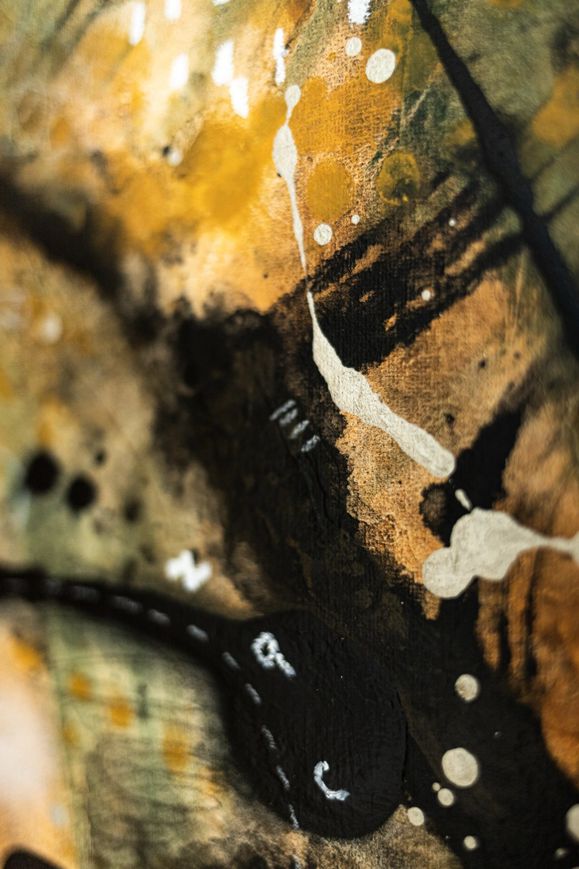 Mutua actio II (X7).jpg