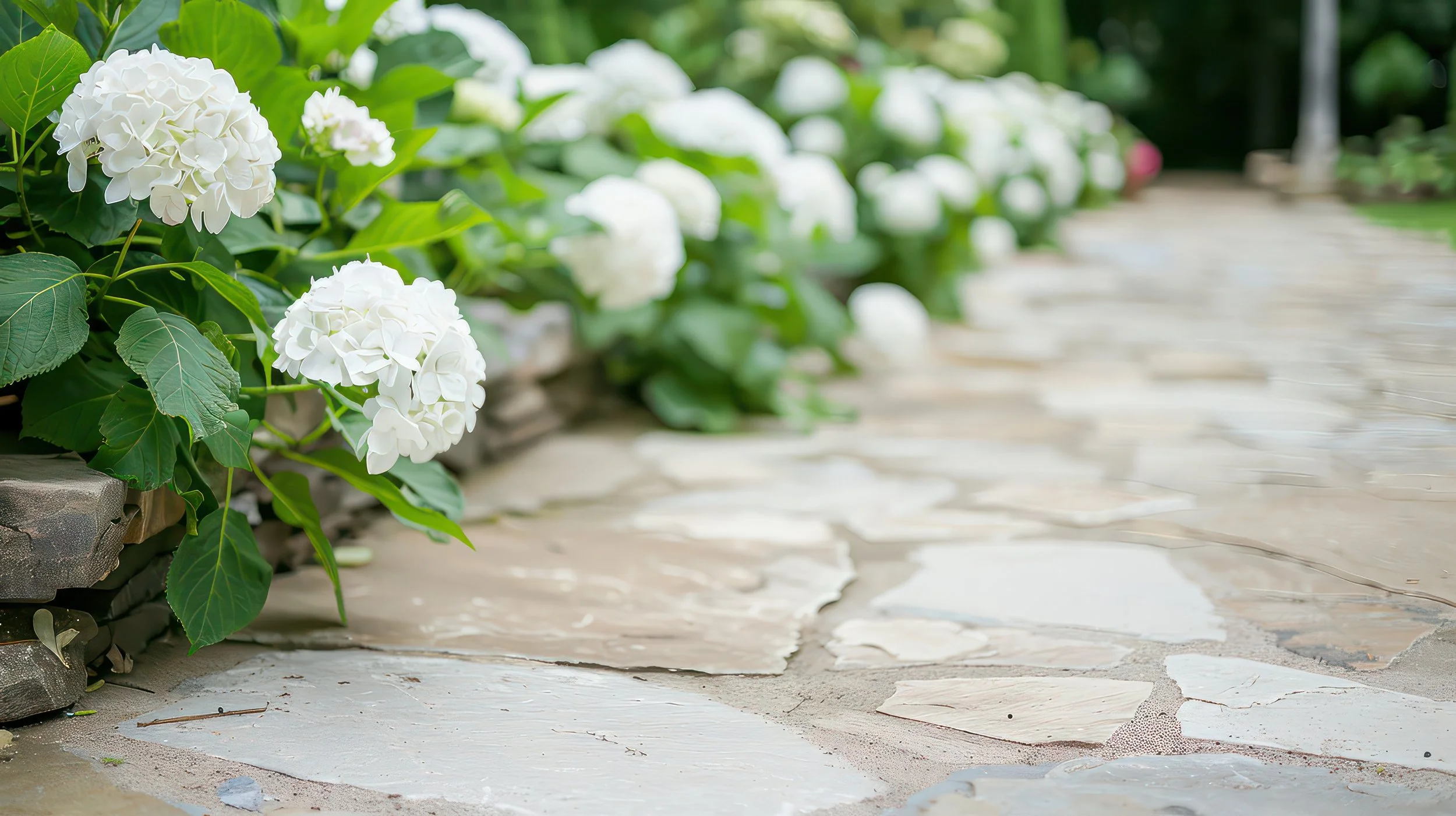 Stone with hydrangeas.jpeg