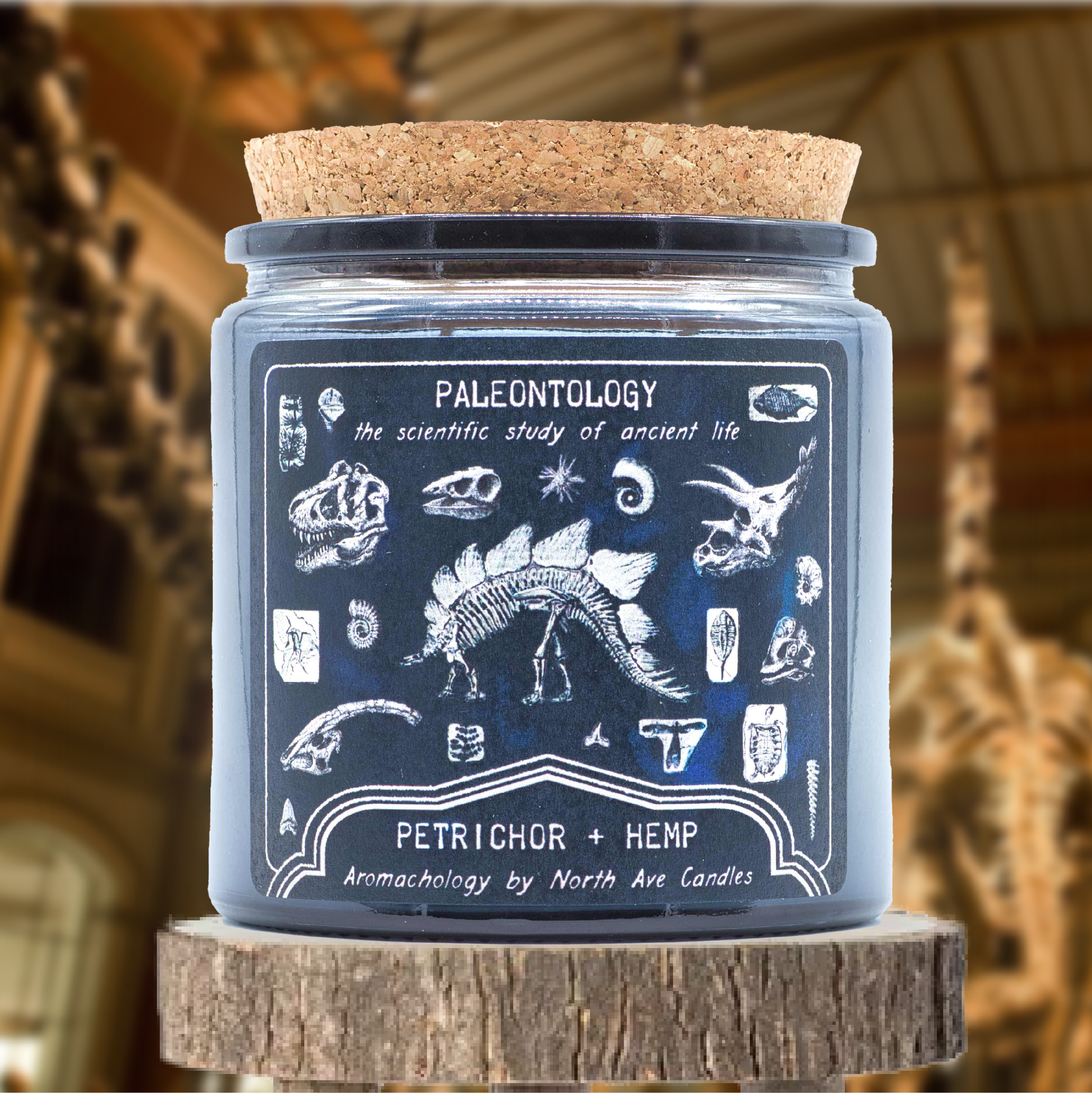 A candle with a black label featuring white illustrations of fossils and ancient symbols, labeled 'Paleontology, the scientific study of ancient life,' and 'Petrichor + Hemp, Aromachology by North Ave Candles,' placed on a wooden surface with a blurr