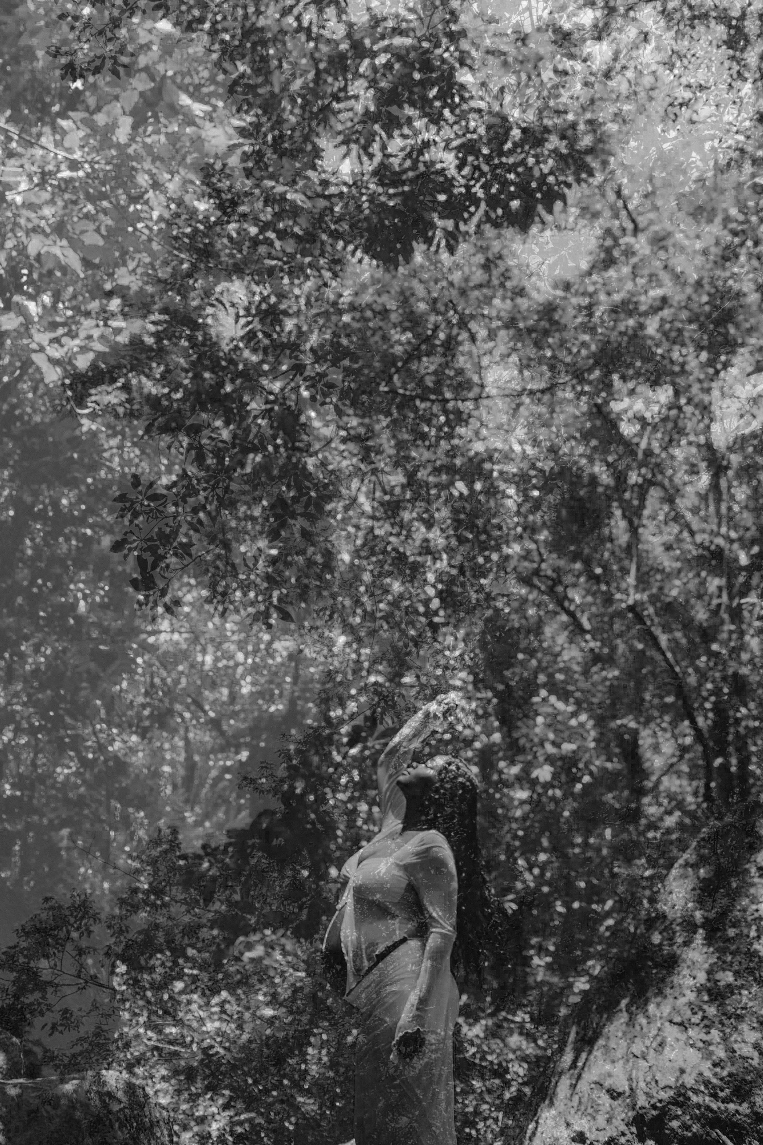 fotógrafa-rio-de-janeiro-ana-b-fotografia-ensaio-de-gestante-cachoeira