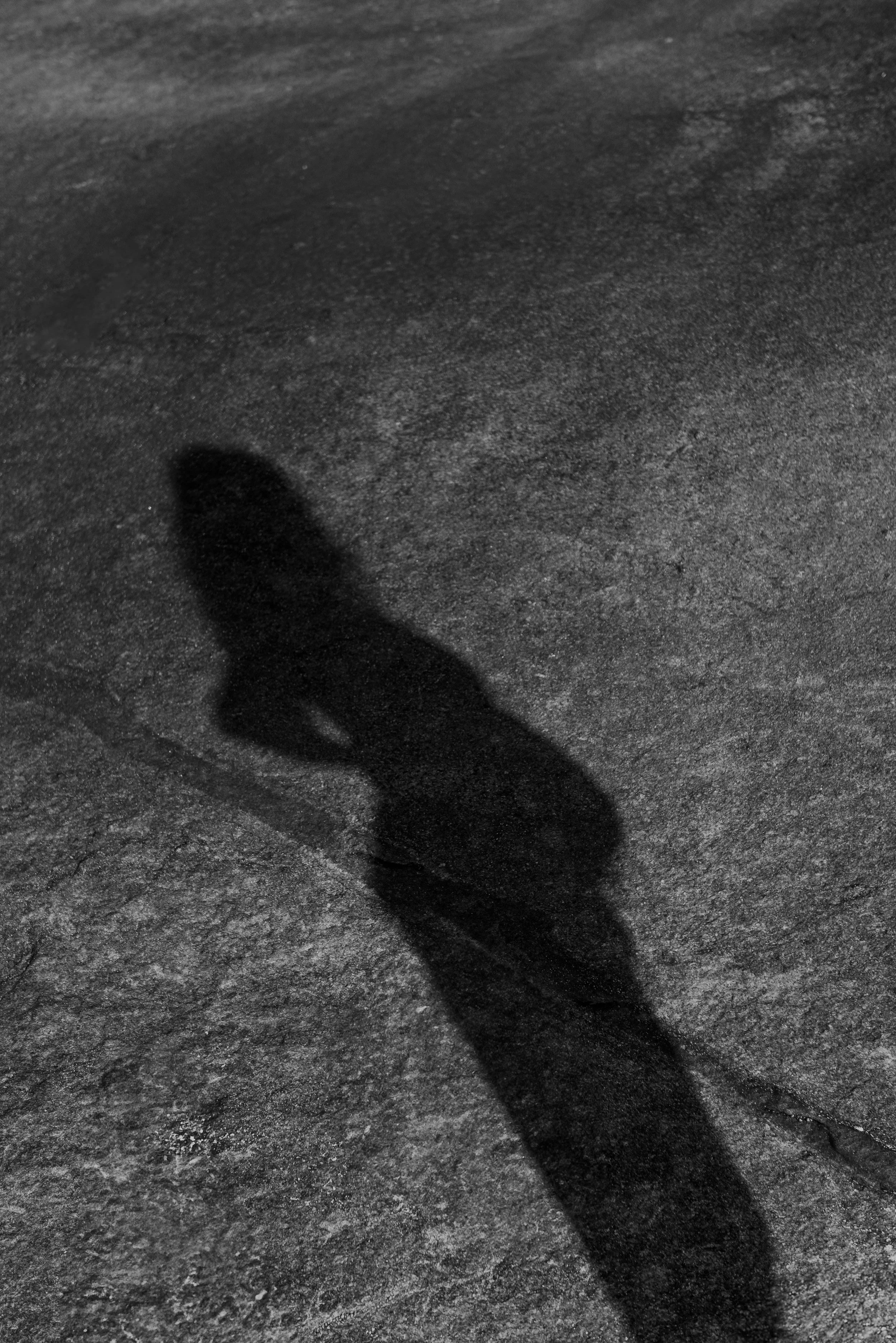 ensaio-de-gestante-rio-de-janeiro-olivia-ana-b-fotógrafa-surf