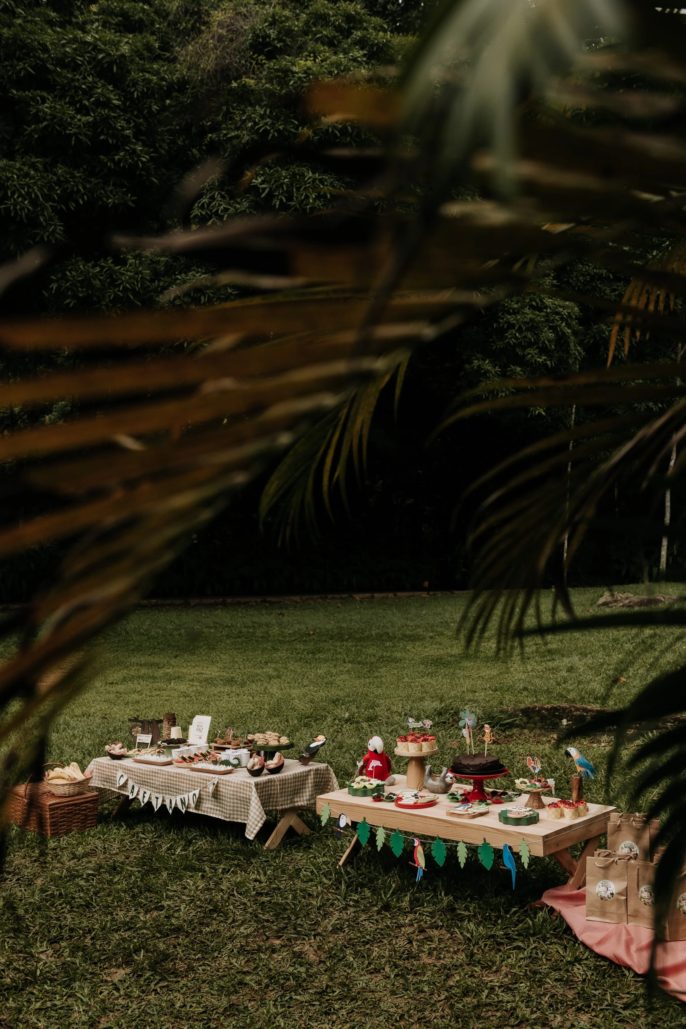 festa-infantil-ao-ar-livre-piquenique-intimista-caetano-ana-b-fotógrafa-rio-de-janeiro