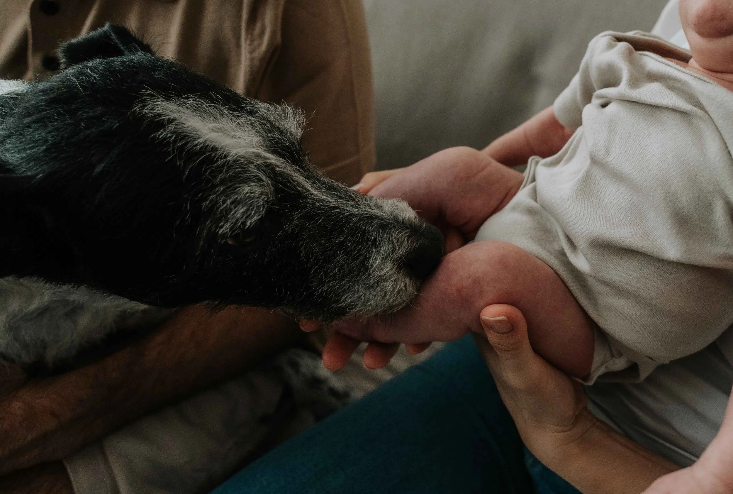 luca-ensaio-de-newborn-em-casa-ana-b-fotografia-embaixa-66.jpg
