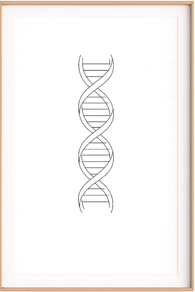 MTHFR + Methylation Blueprint | Your methylation status affects everything: energy, mood, hormones, cardiovascular health, and your ability to detoxify. Most patients have never had it tested. The Methyl Detox Panel combines functional blood biomarke