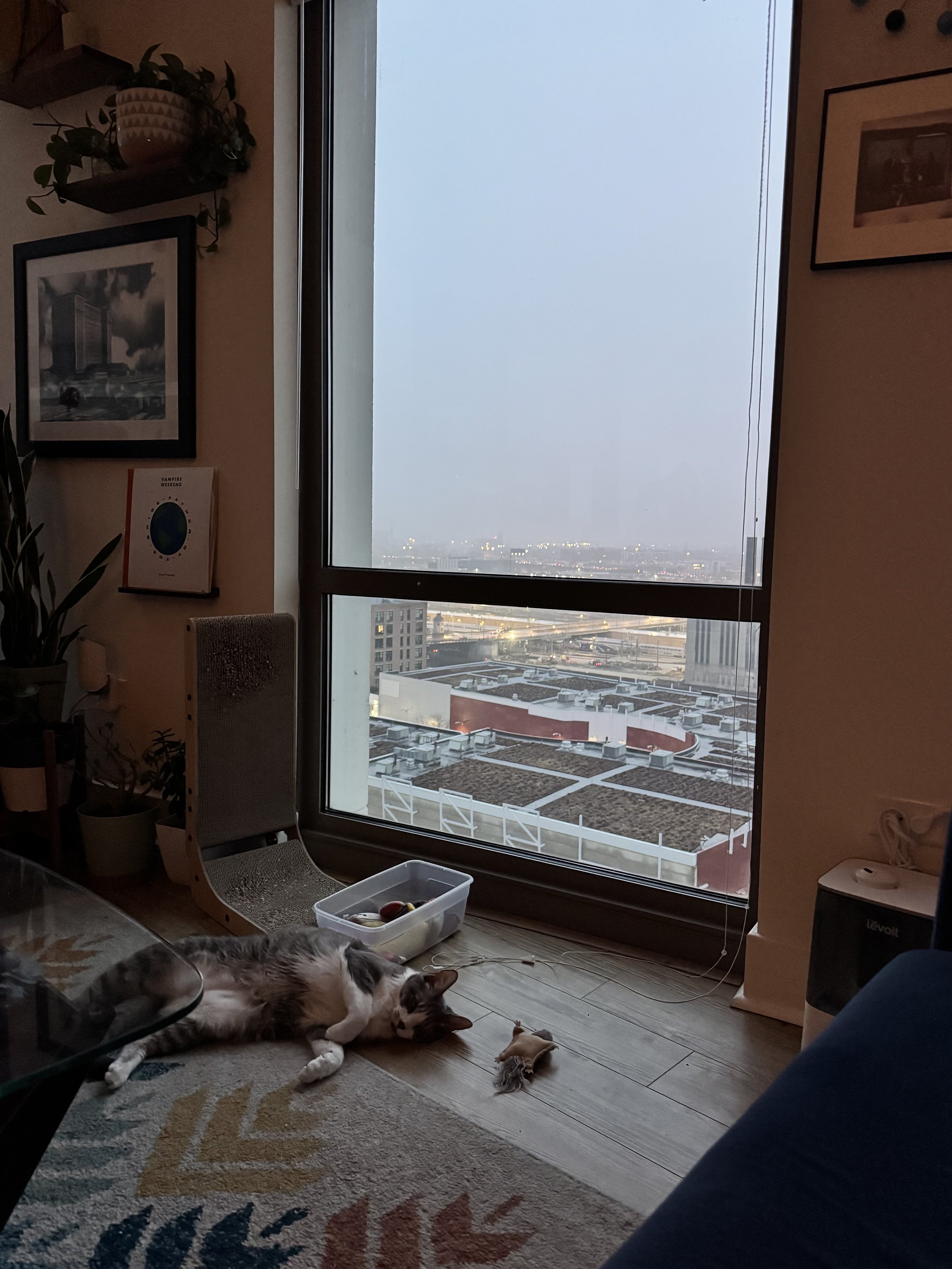 6 am musings from my inner critic Lucy and me