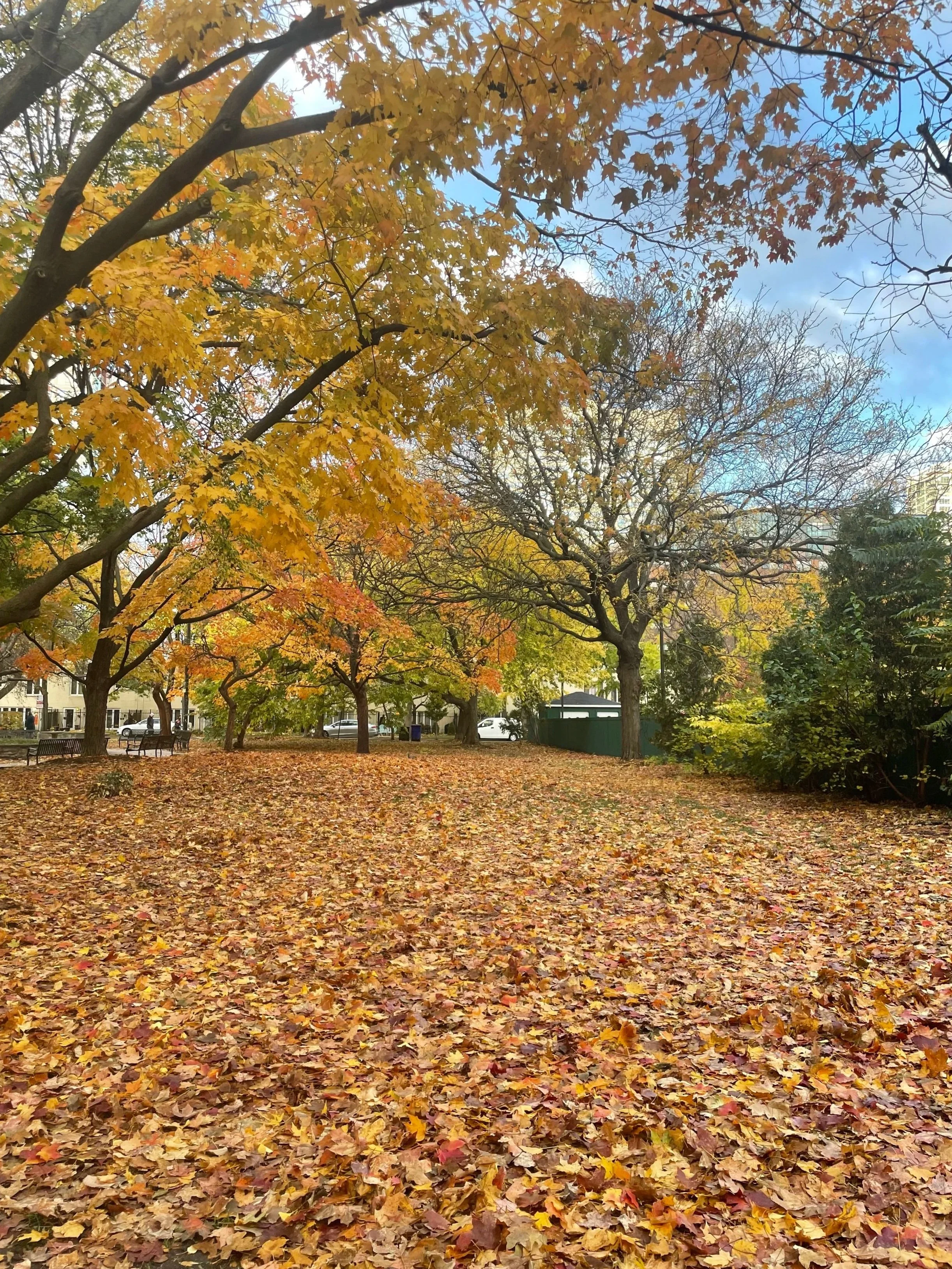 Chicago in Autumn 