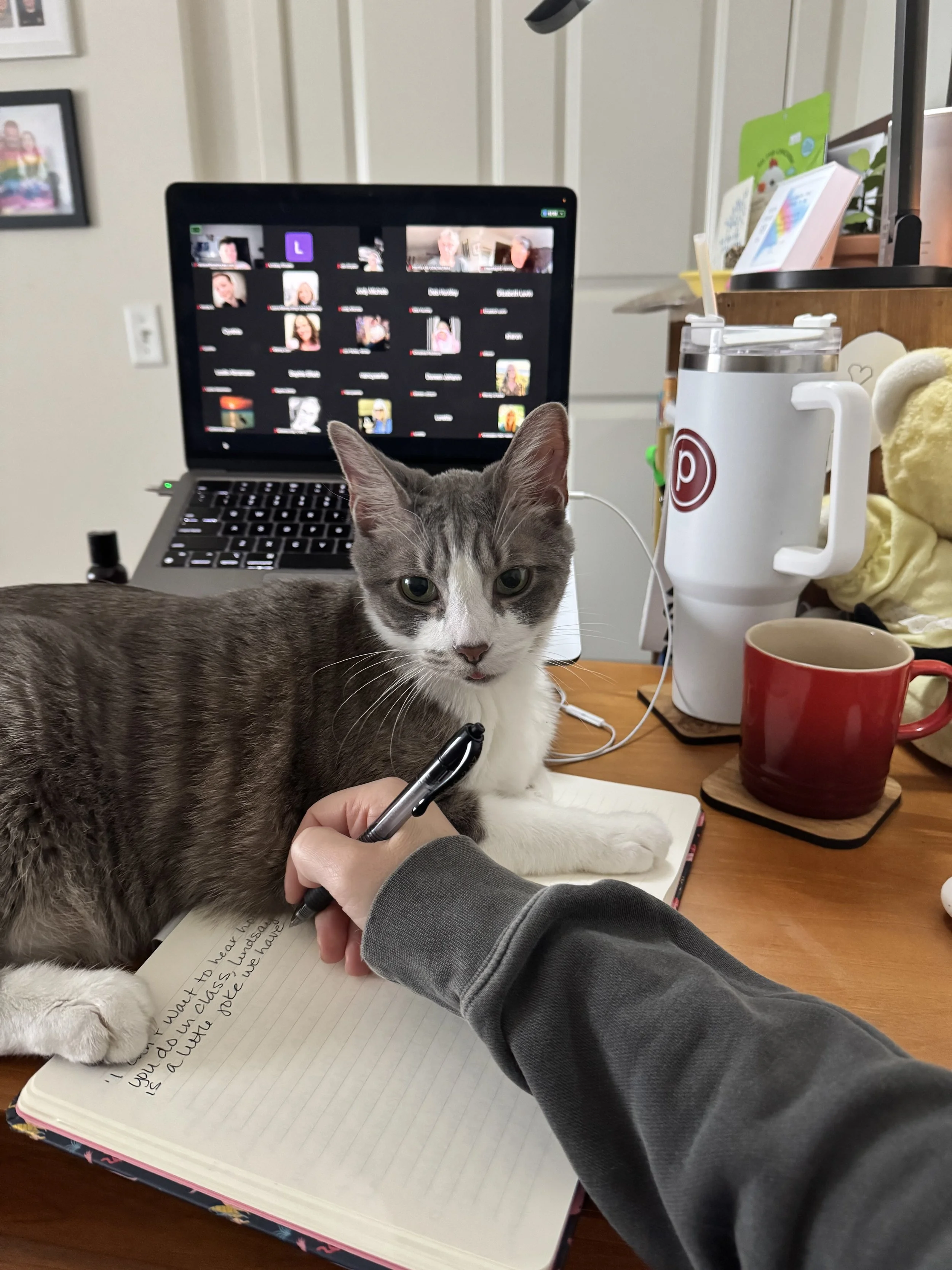 If You Give a Mouse a Cookie 