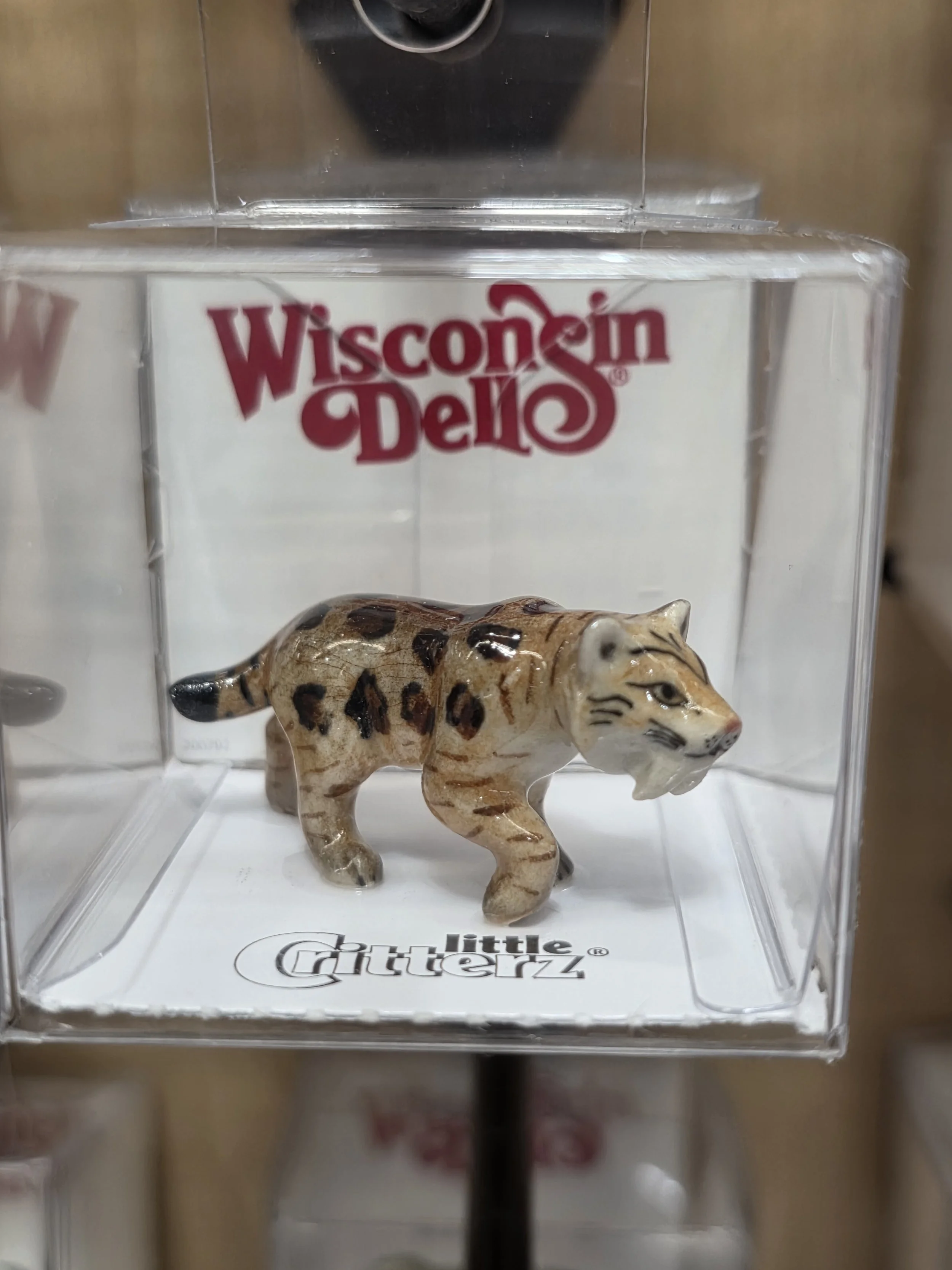 Castby Saber Tooth Tiger