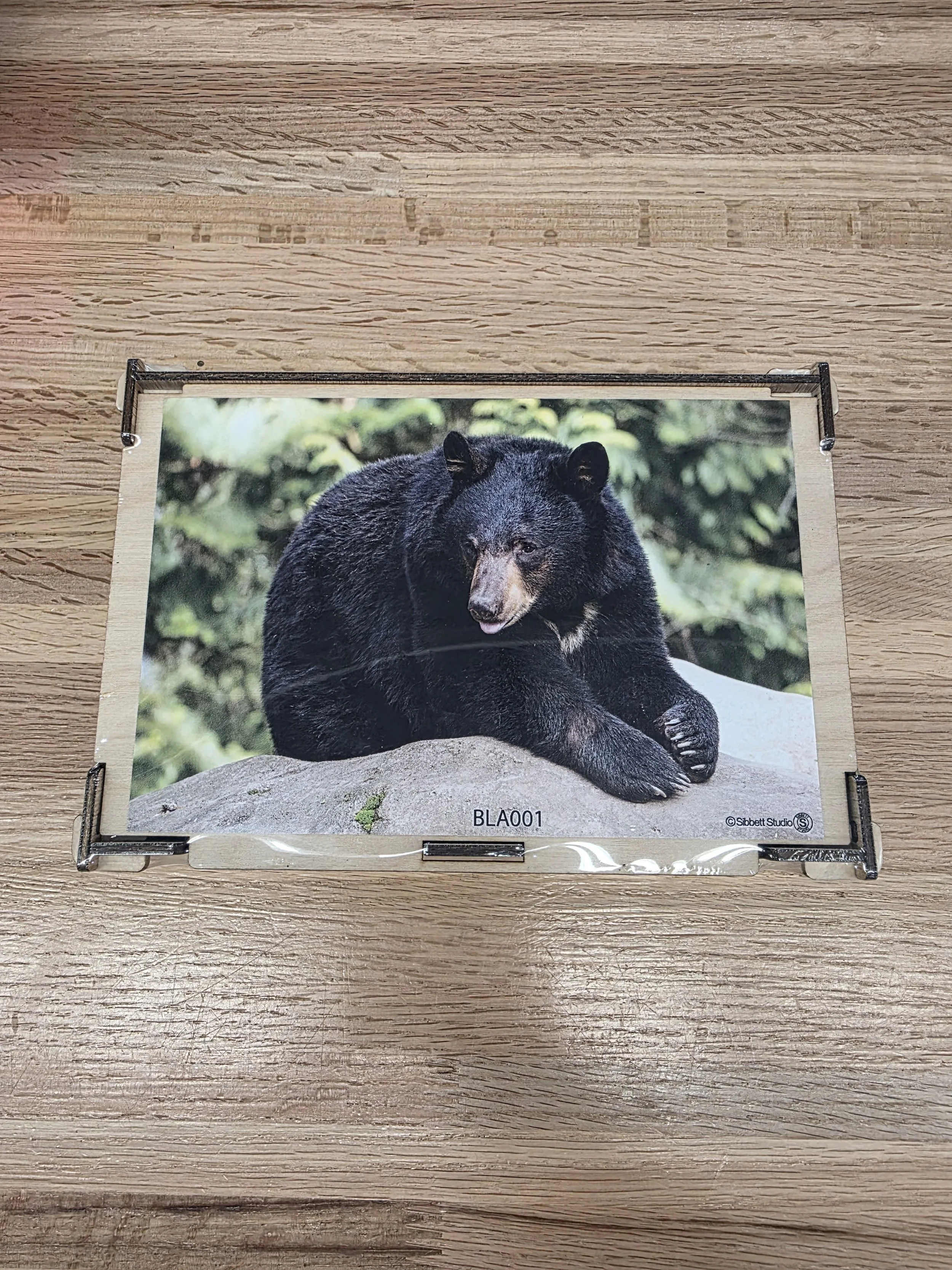 Wooden Bear Puzzle