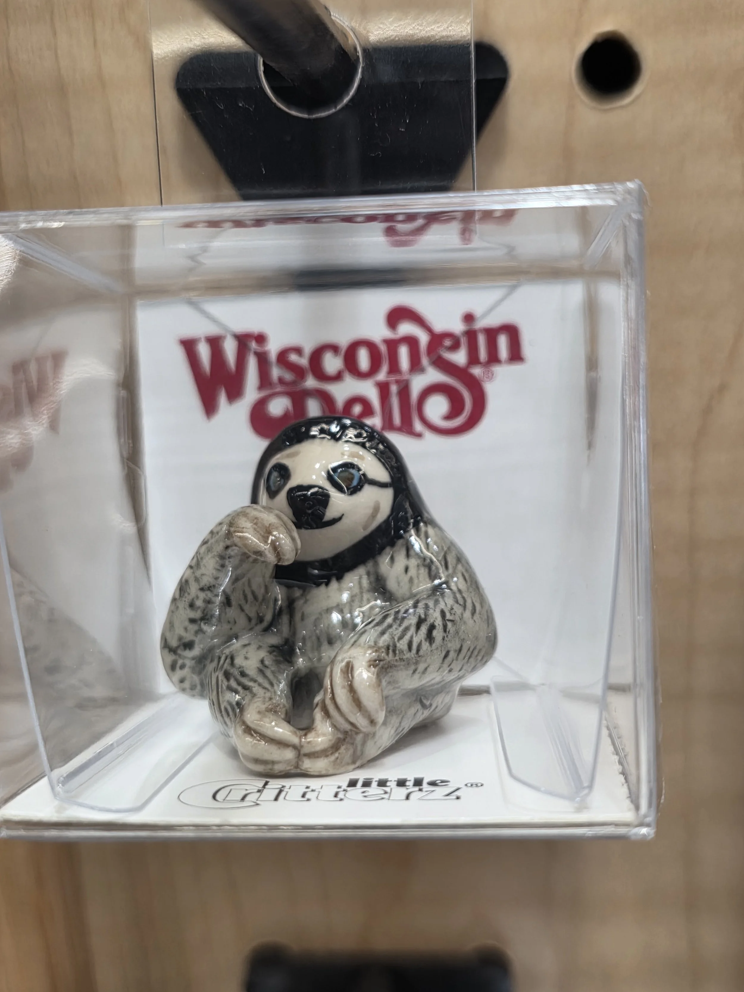 Buttercup Three Toed Sloth