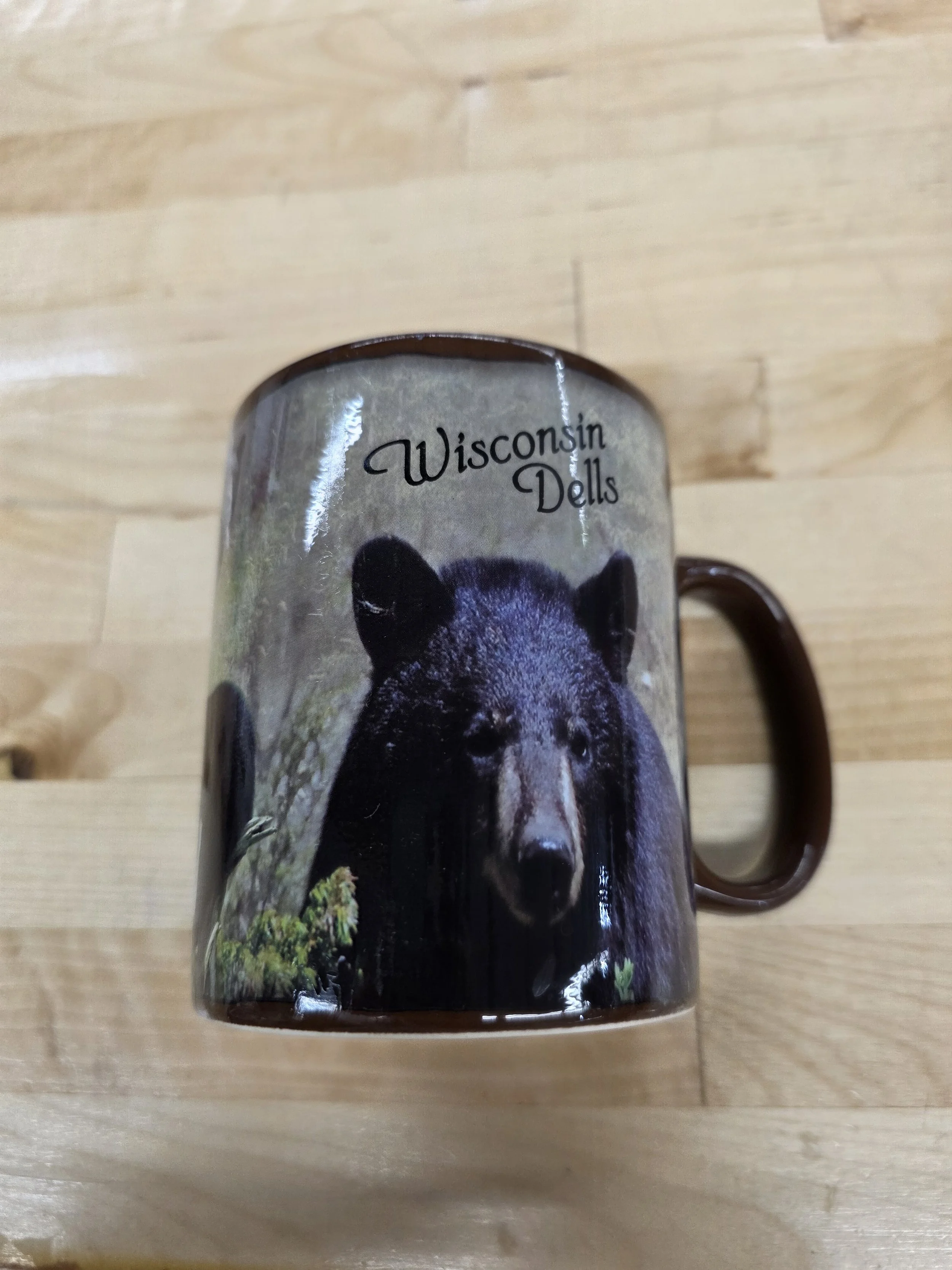 WD Bear Mug Full Wrap