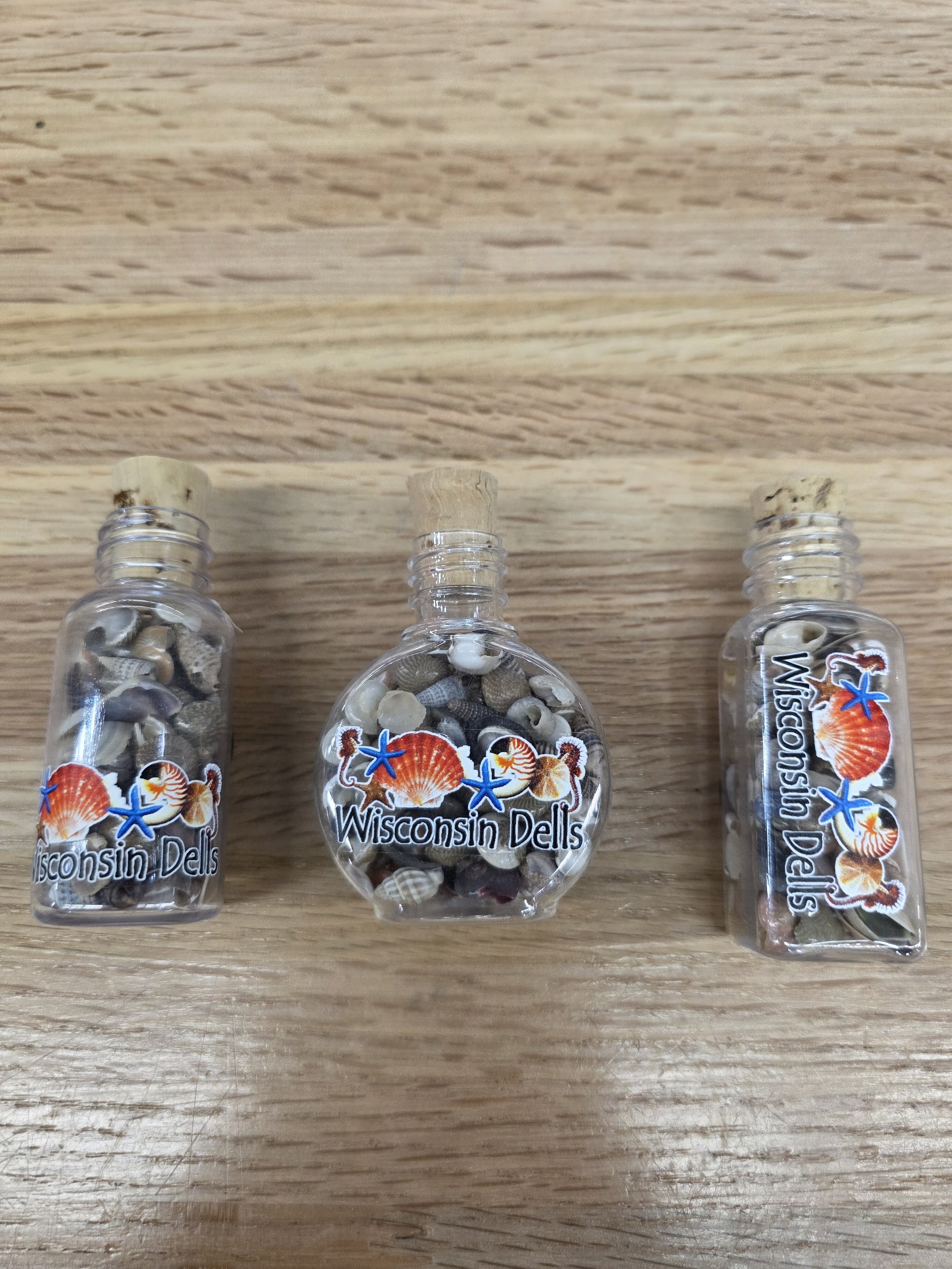 Shells In A Bottle With Magnet
