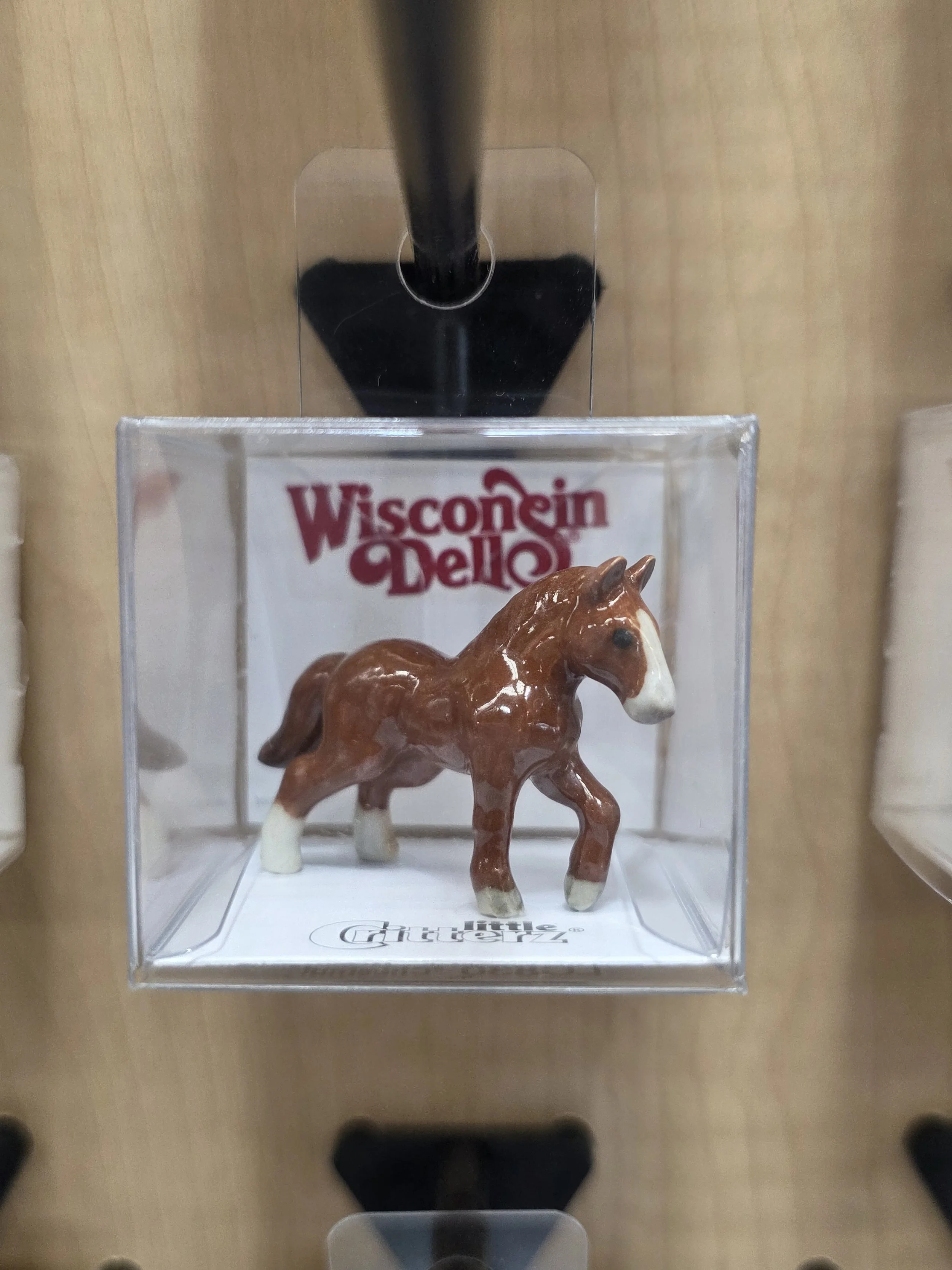 Chestnut Thoroughbred