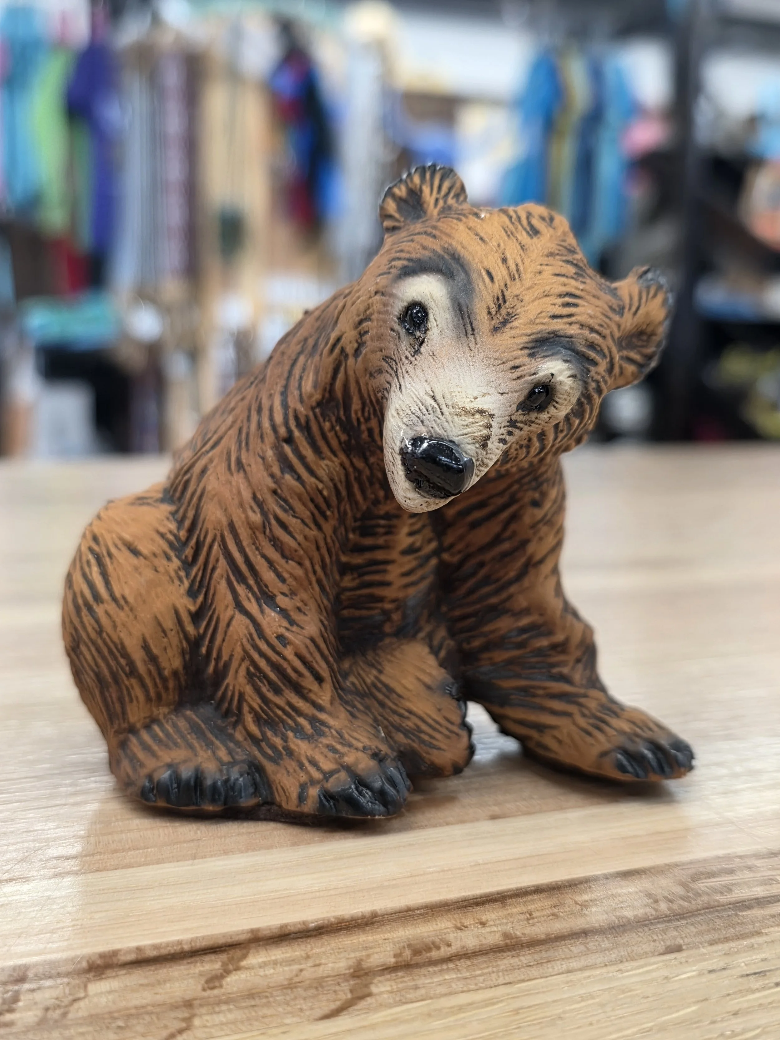 Grizzly Bear Sitting