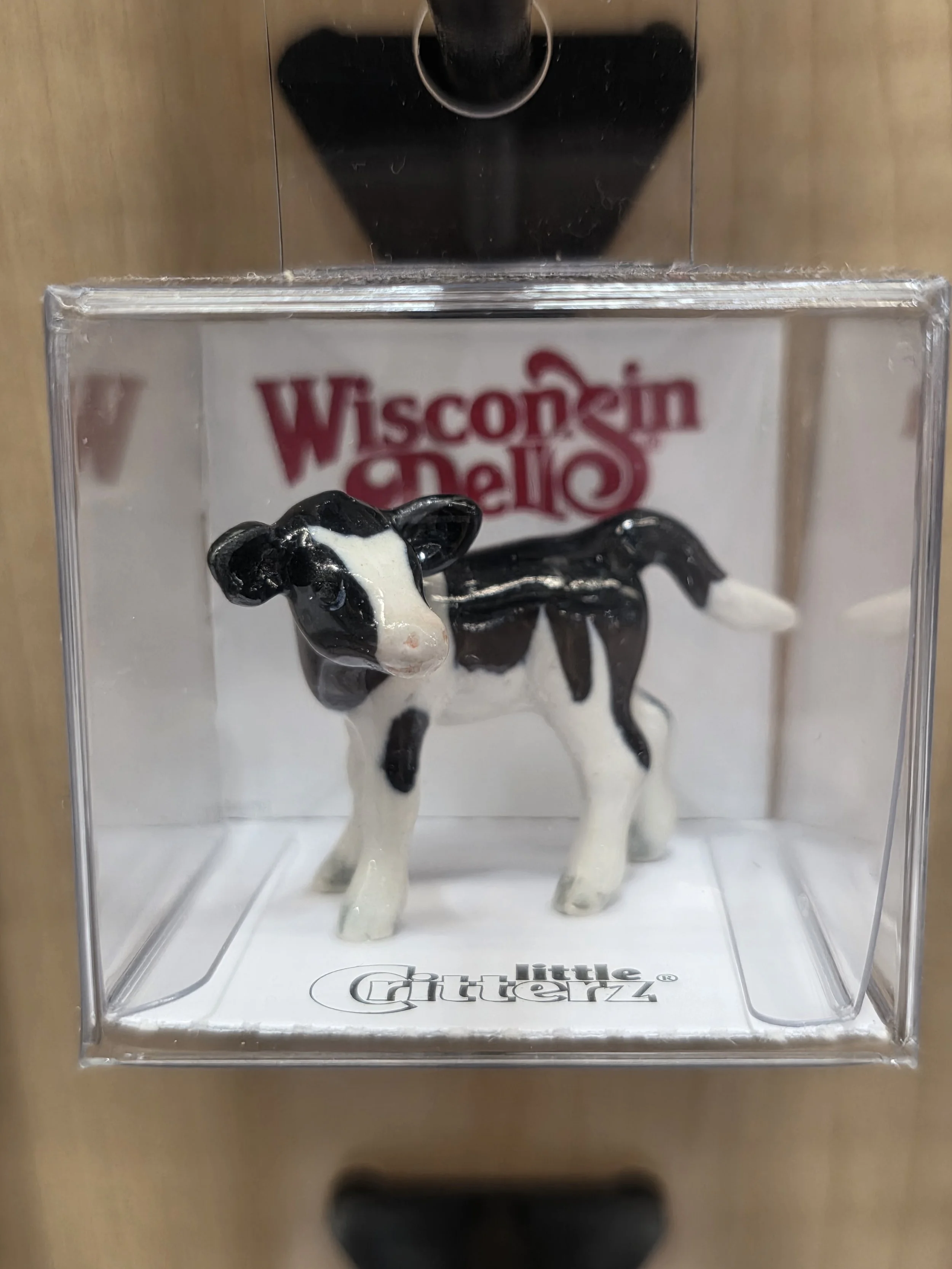 Pauline Holstein Calf