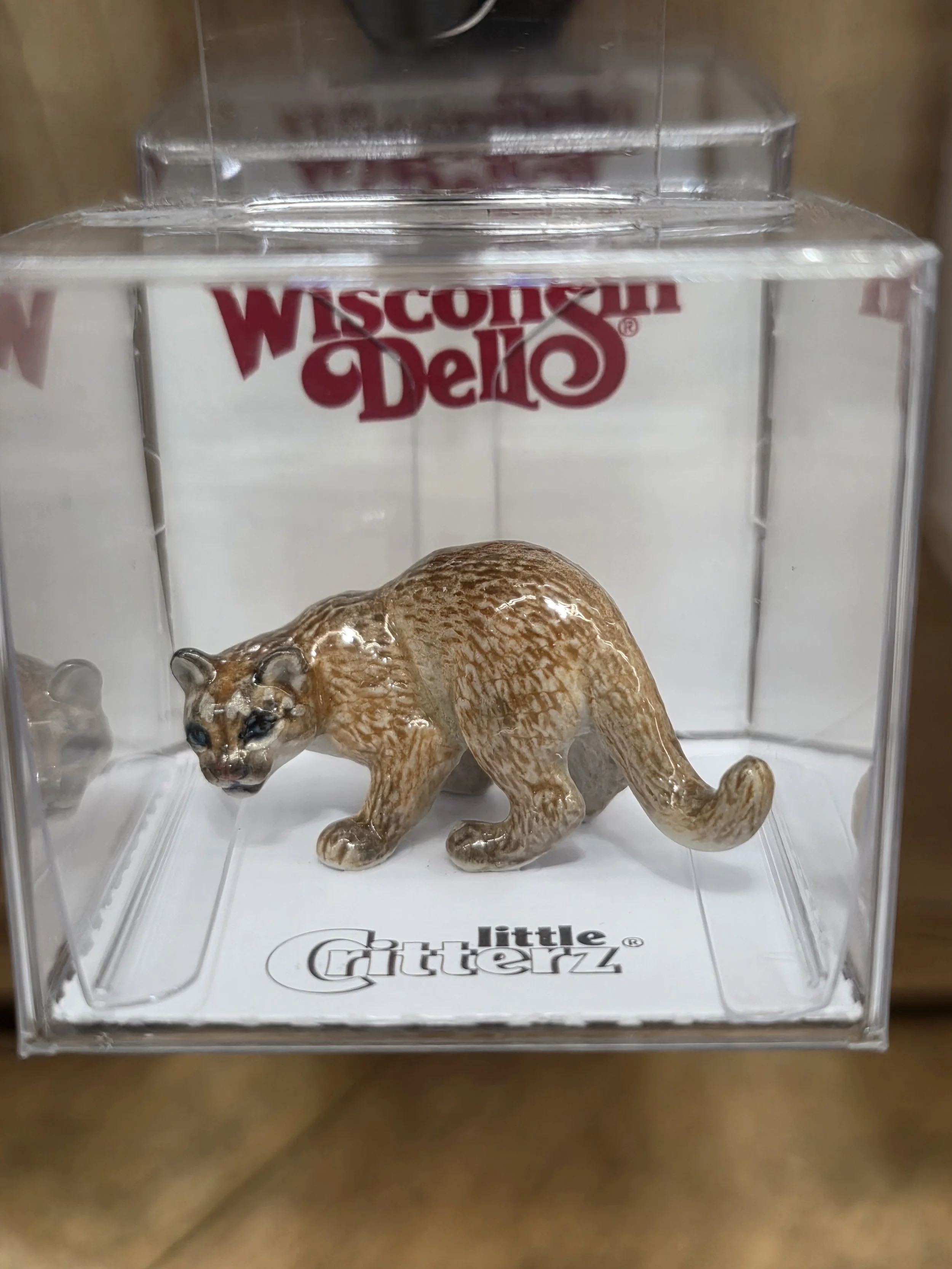 Cheyenne Cougar Mountain Lion