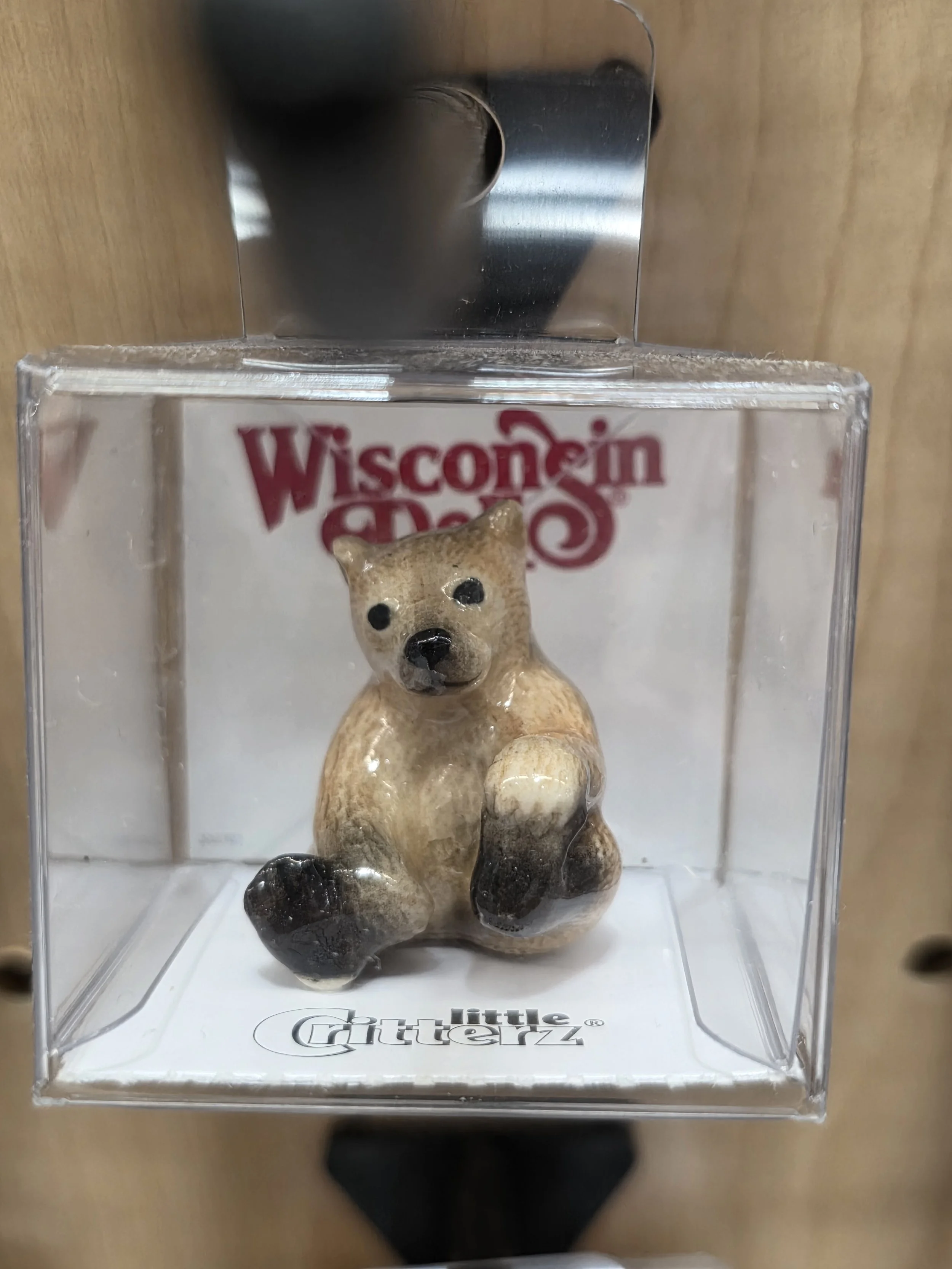 Bernie Brown Bear Cub