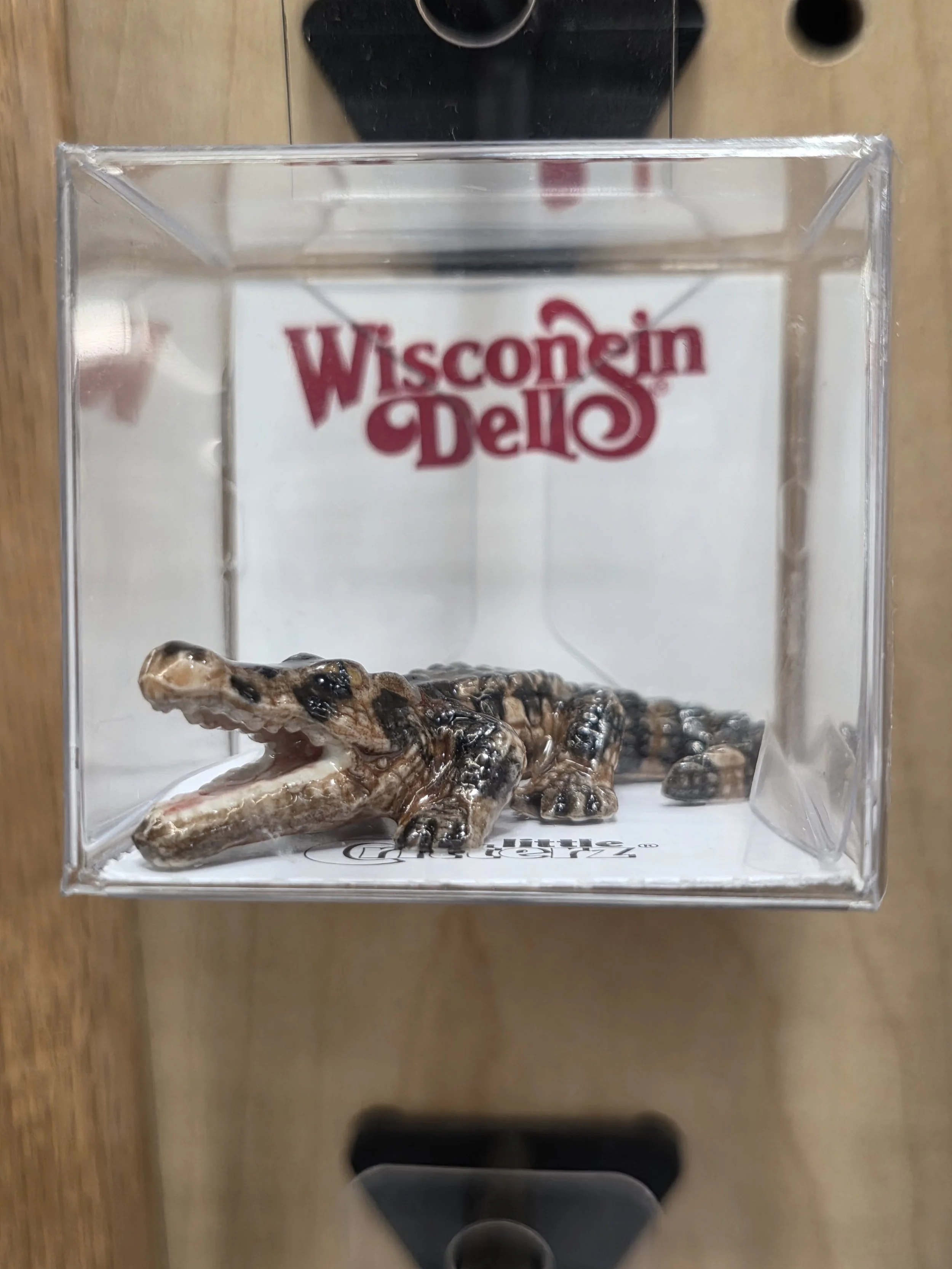 Mississippi Alligator