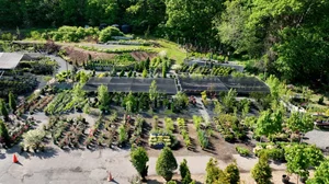 Wolf Hill Garden Center