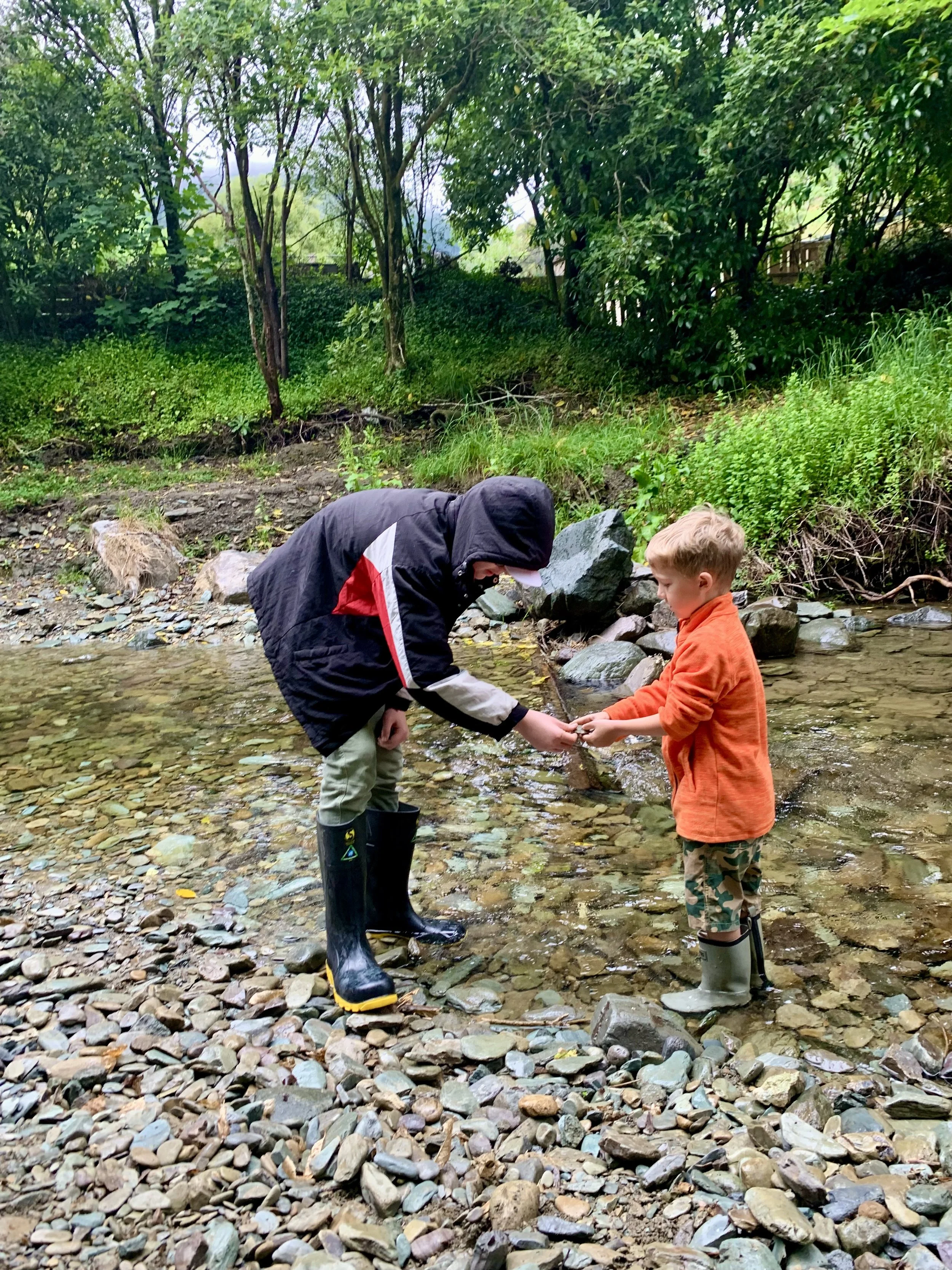 Term 1 2026: Thursdays (One Day programme)