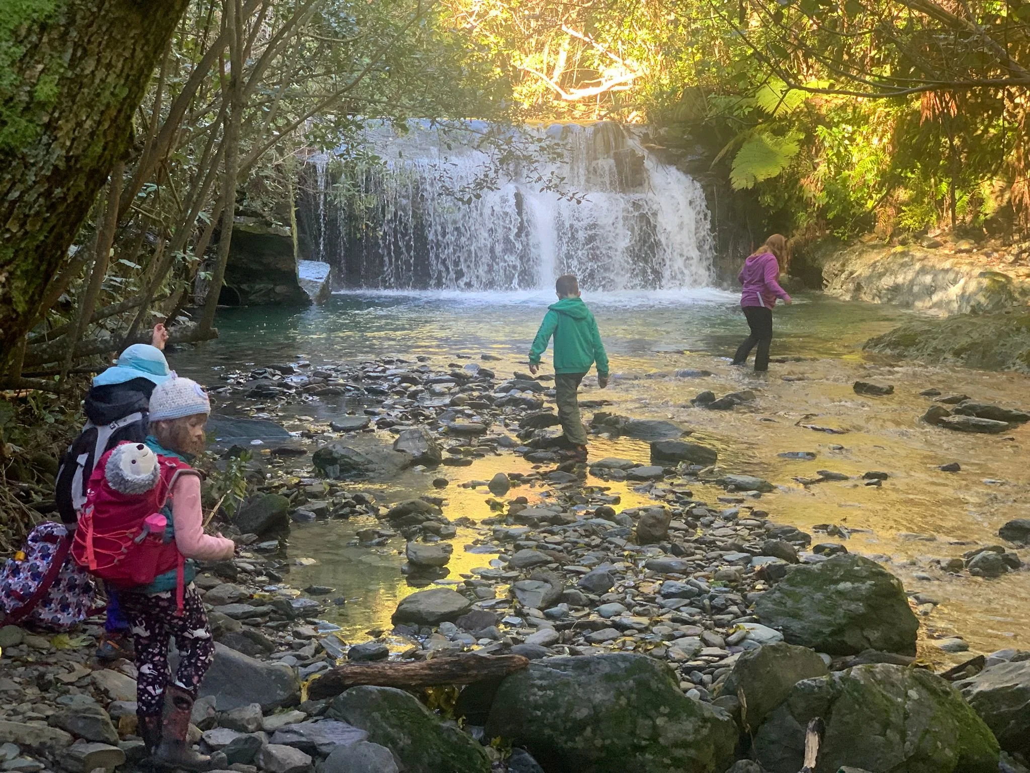 A group of children exploring a rocky creek with small waterfalls in a forest setting during daylight. Some children are wading in the water, while others observe from the rocks and shoreline, with trees and foliage overhead and sunlight filtering th