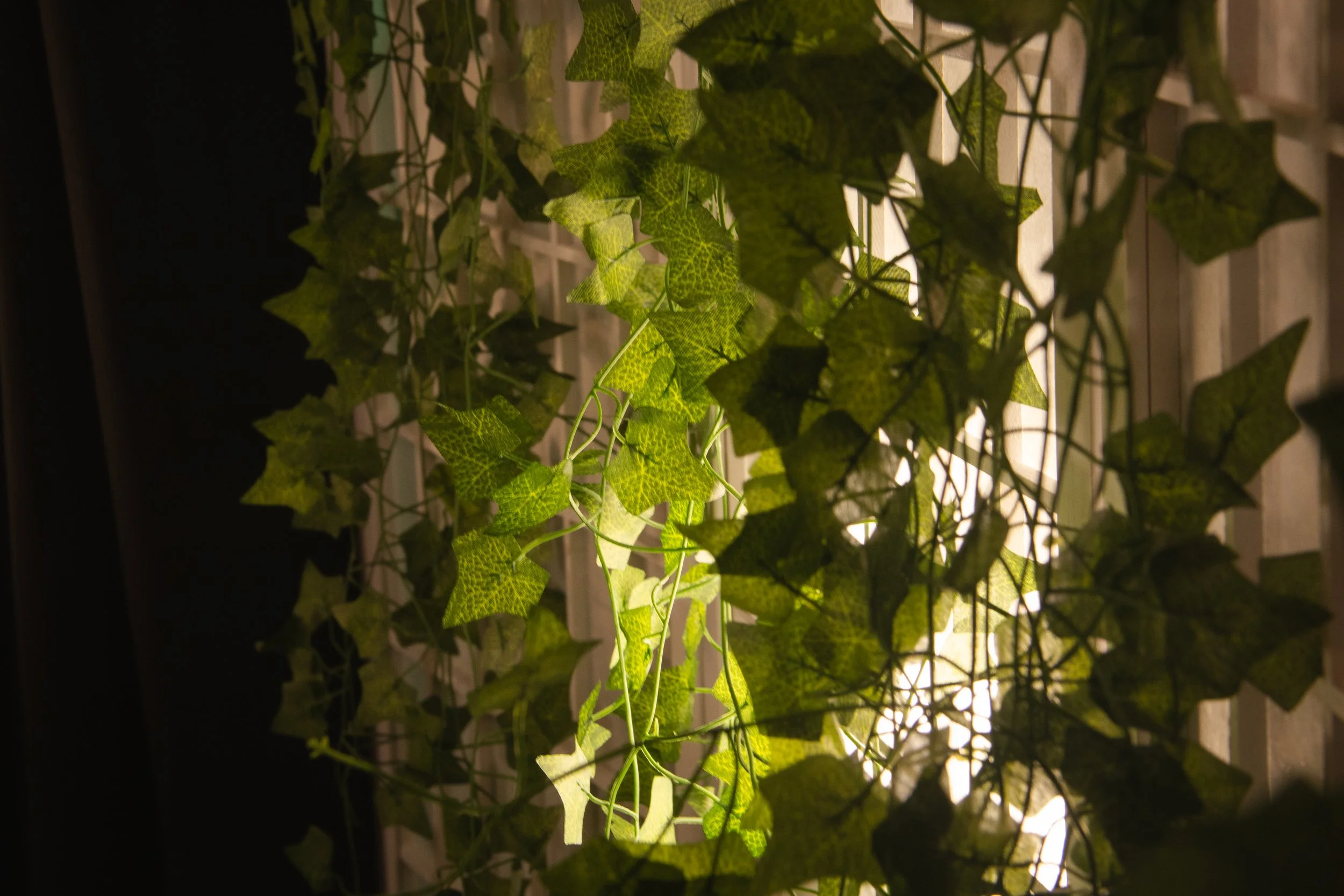 Leaves of an ivy plant growing on a trellis illuminated by a light behind them.