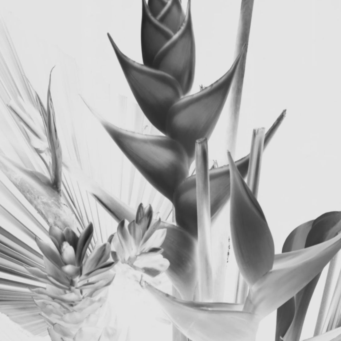 TRACKING THE LIBERATORY POWER OF SELF-DESIGN, FROM CORSETS TO THE BBL |  

Beyond Noise Issue No. 01 | 
Photography by Richard Bush