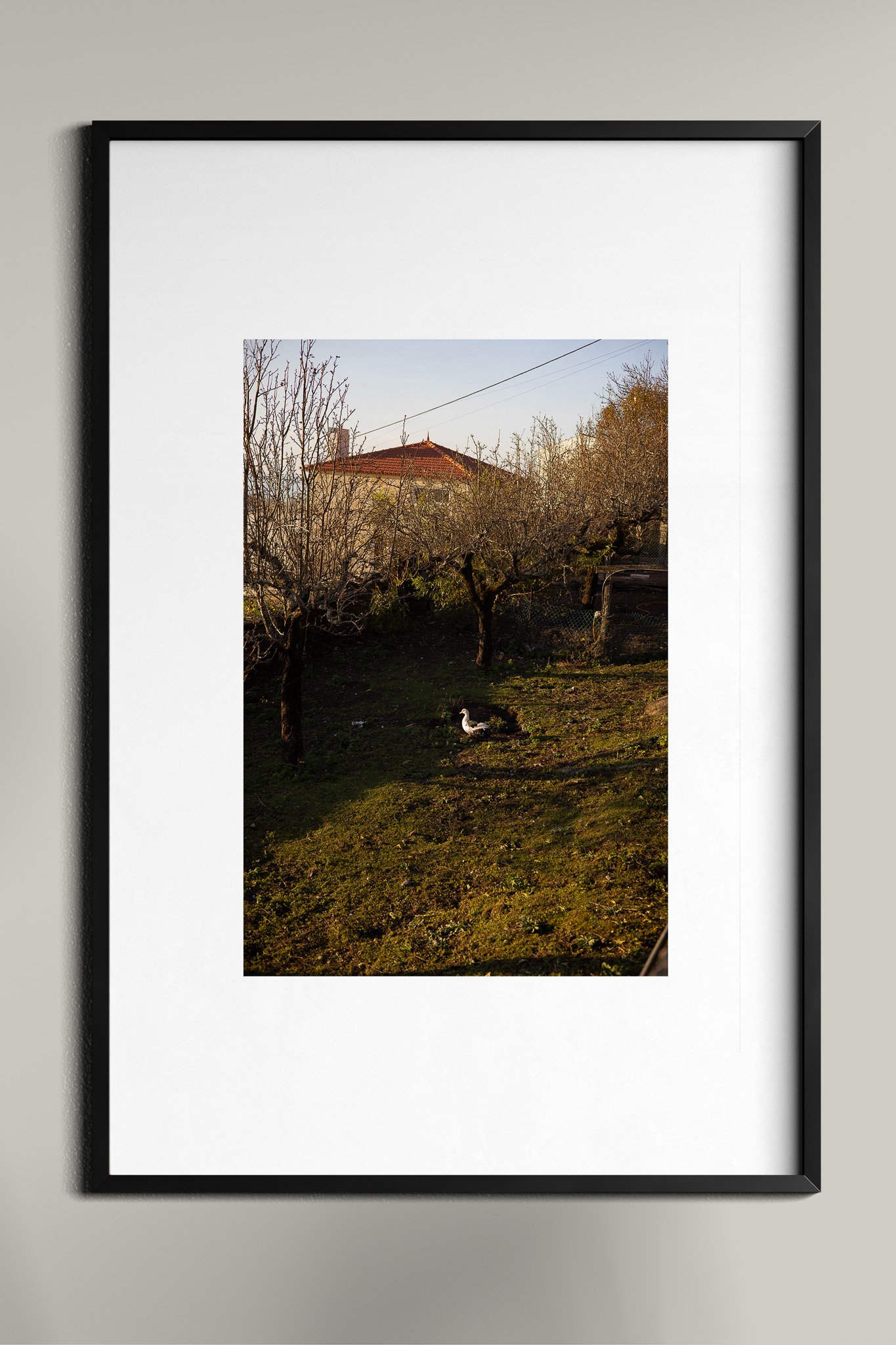 Poster Frame In Room Mockup 20.jpg