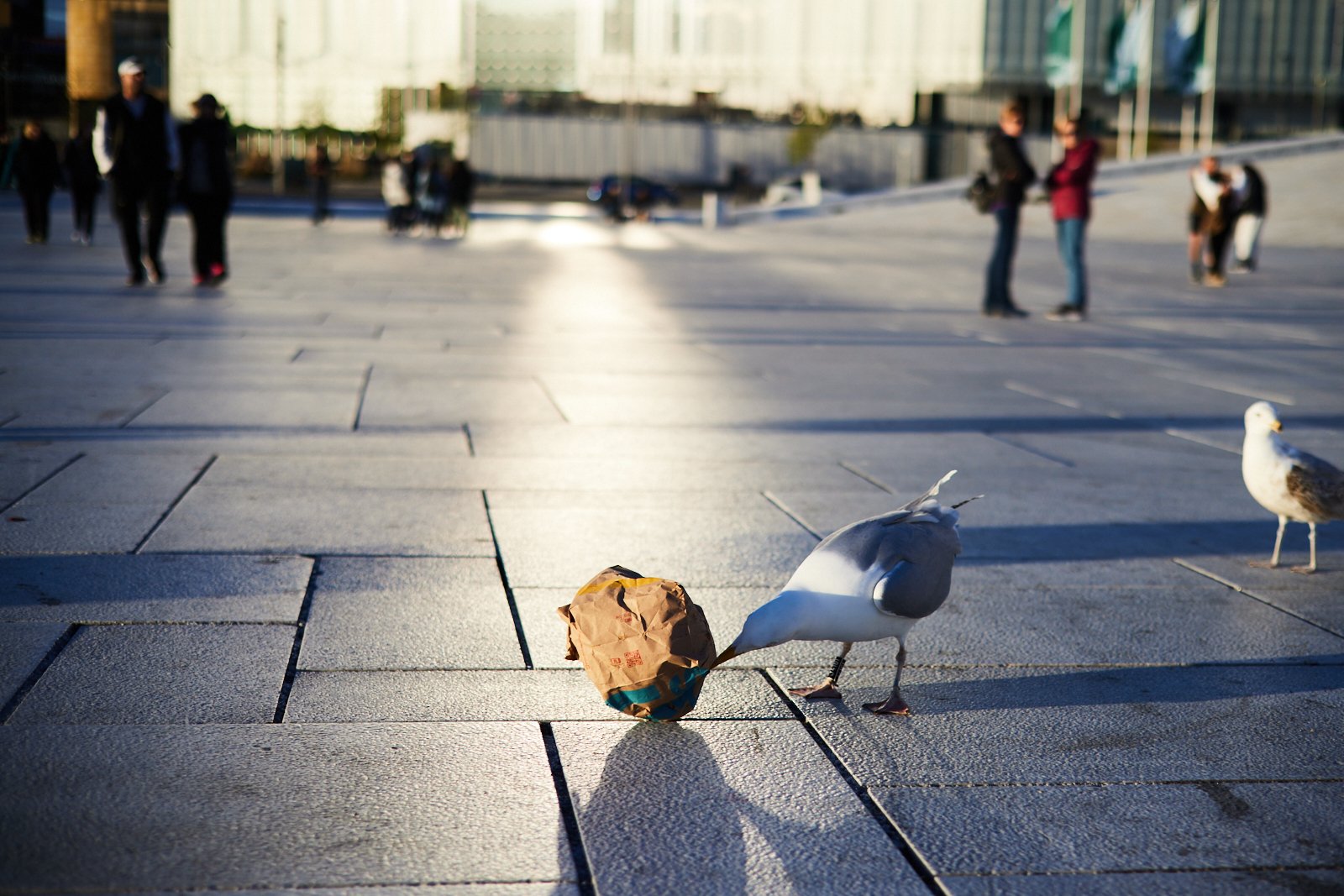 0003oslo|berlin.jpg
