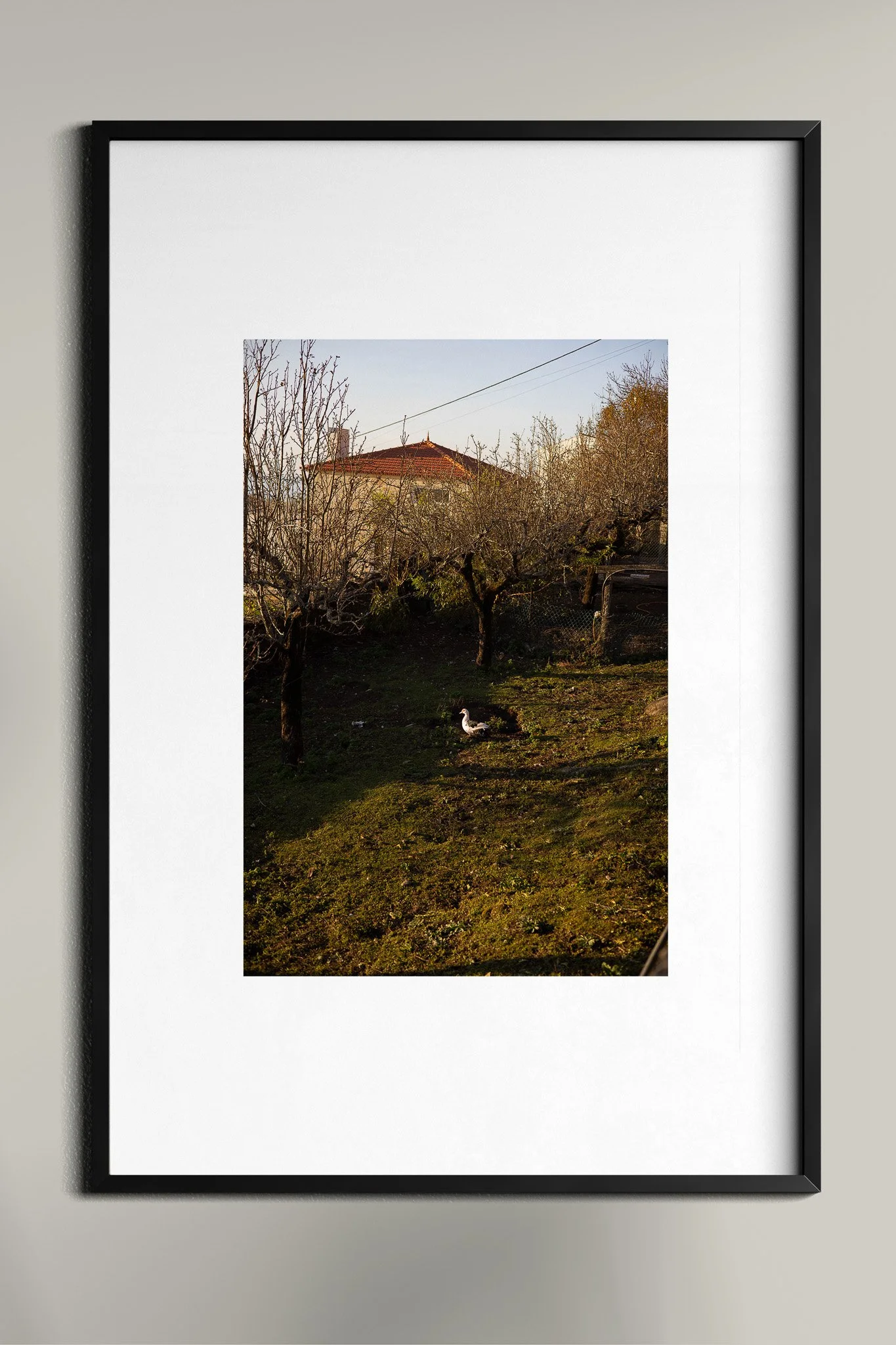 Poster Frame In Room Mockup 20.jpg
