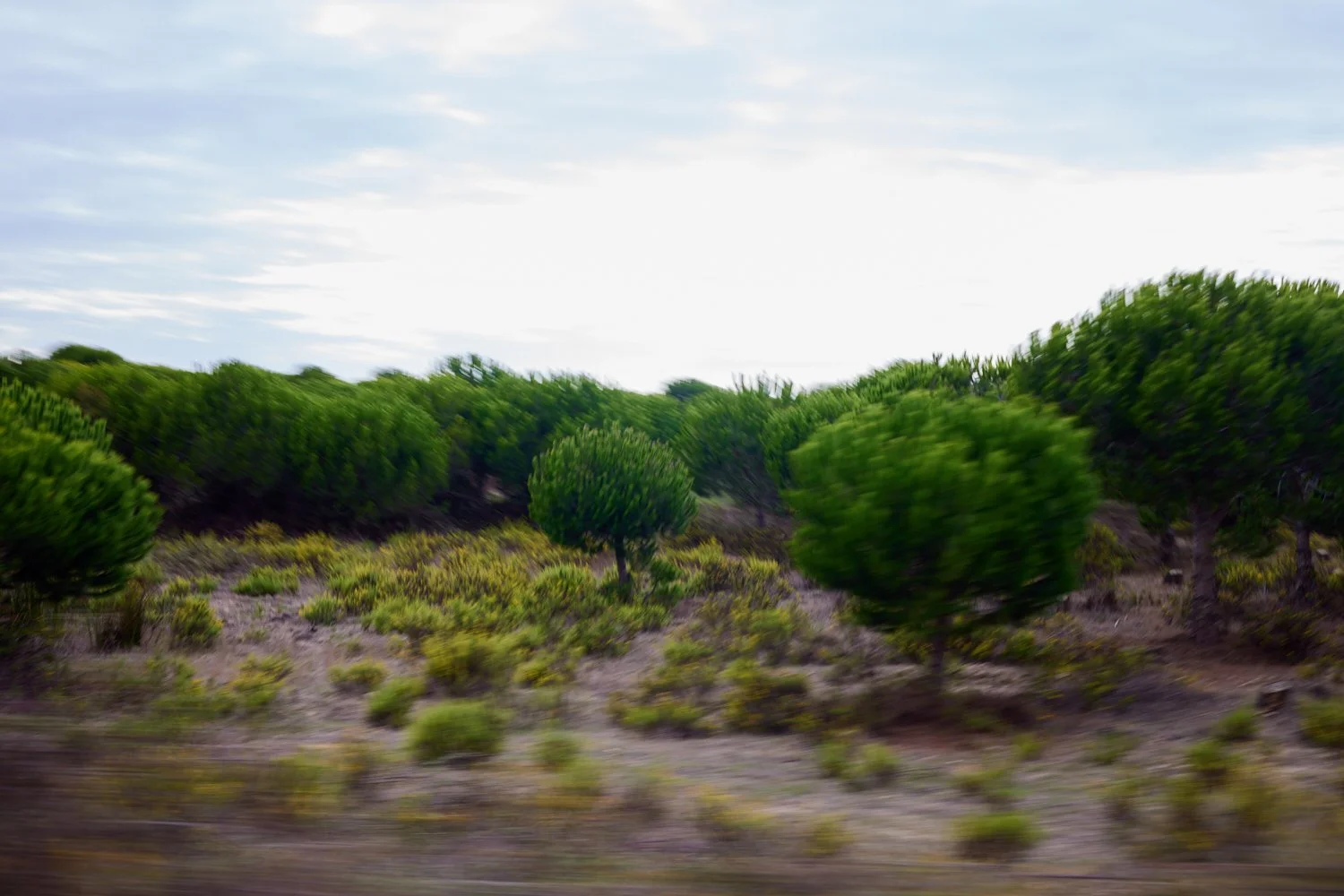 Estrada20220915_0007.jpg