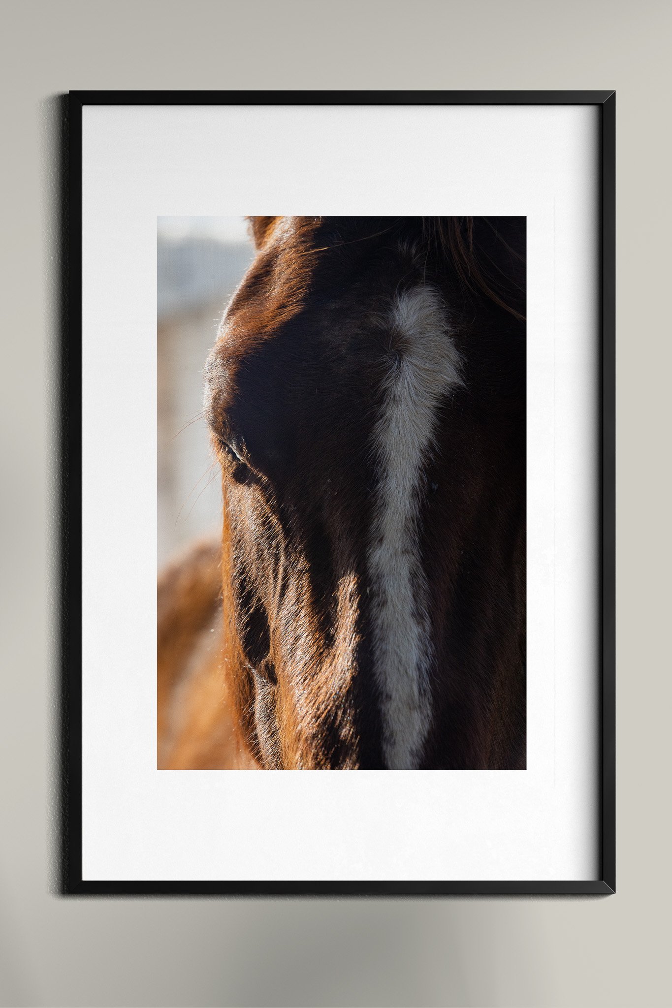 Poster Frame In Room Mockup17.jpg