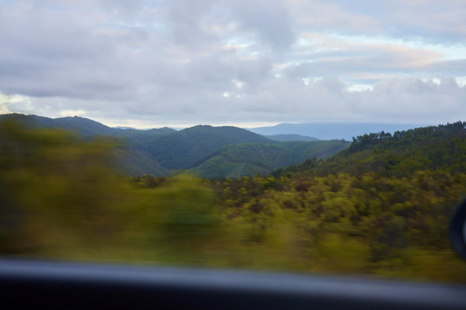 Estrada20220915_0010.jpg