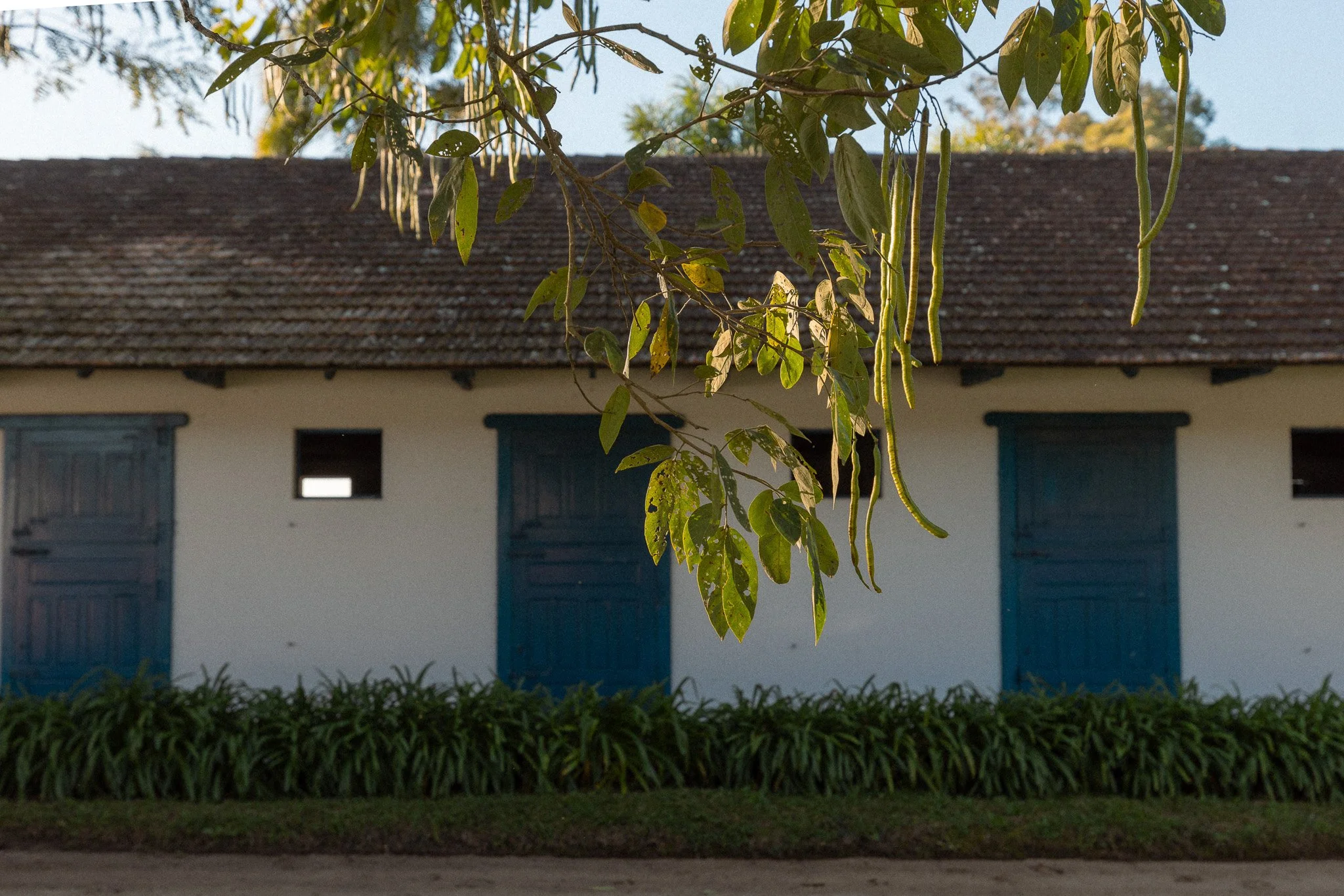 0039haras.jpg