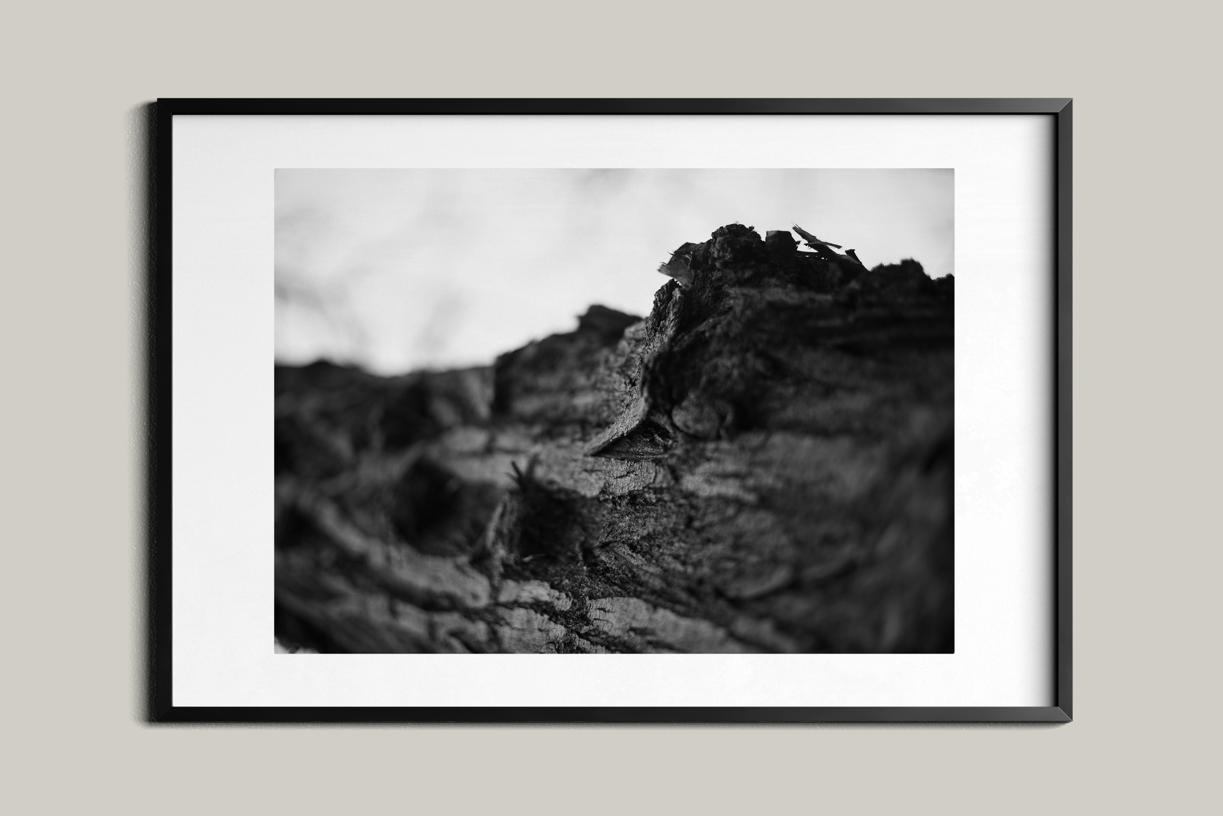 quadro_frame065.png