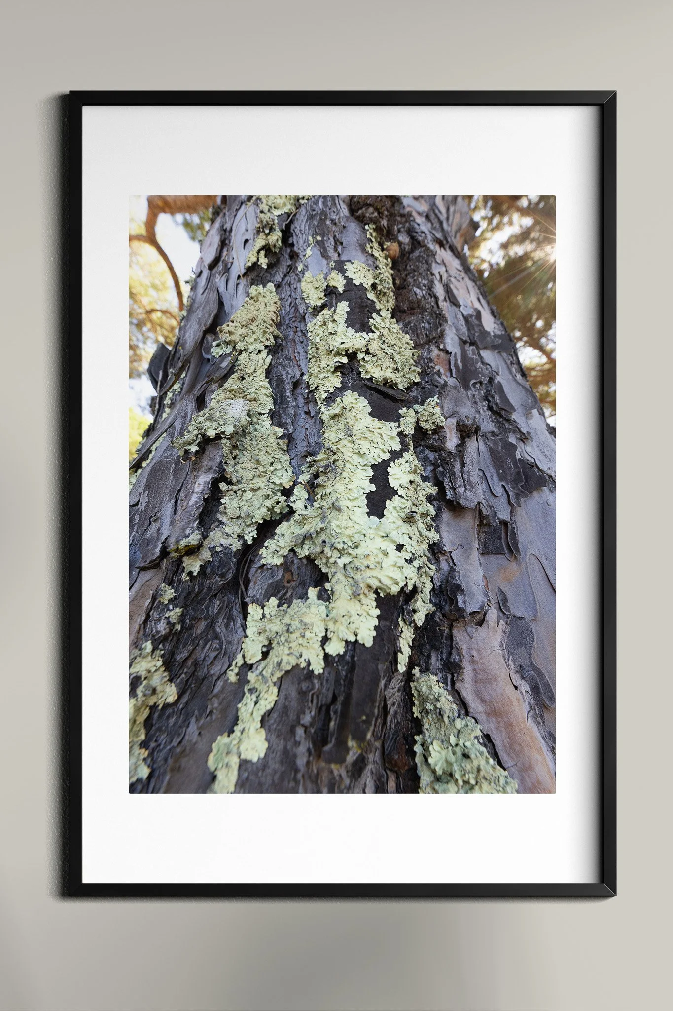 Poster Frame In Room Mockup9.jpg